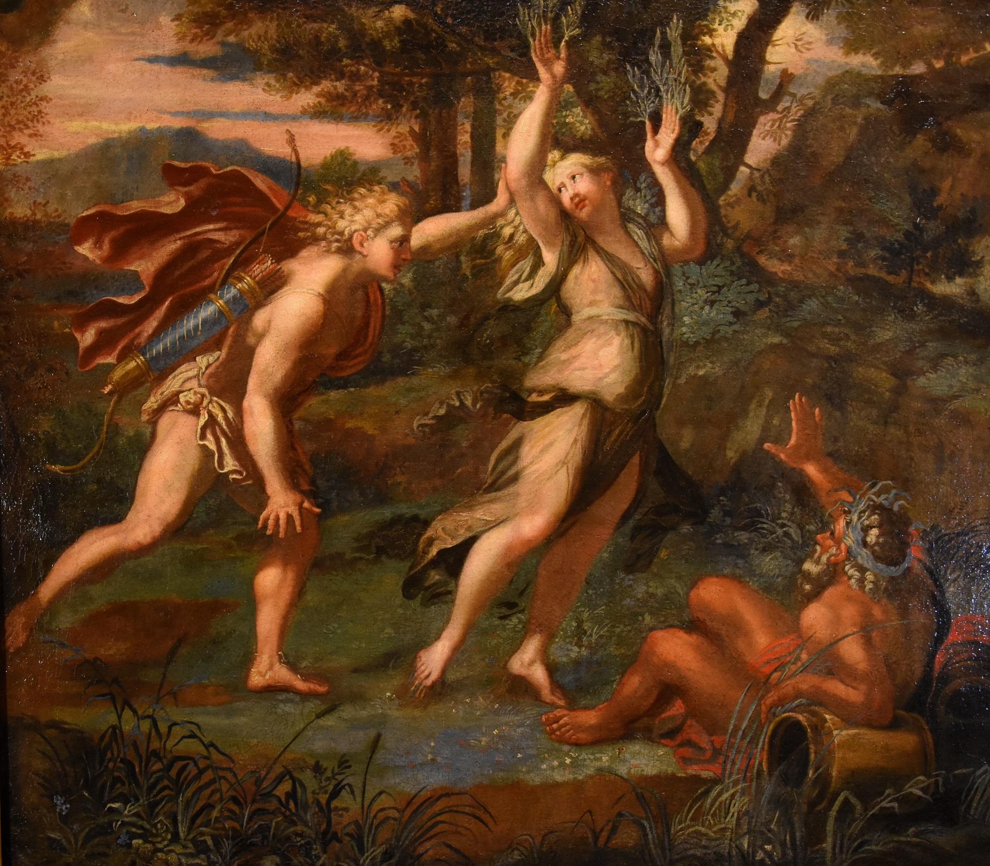 Myth Apollo Daphne Canini Paint Oil on canvas Old master 17th Century Italy For Sale 1