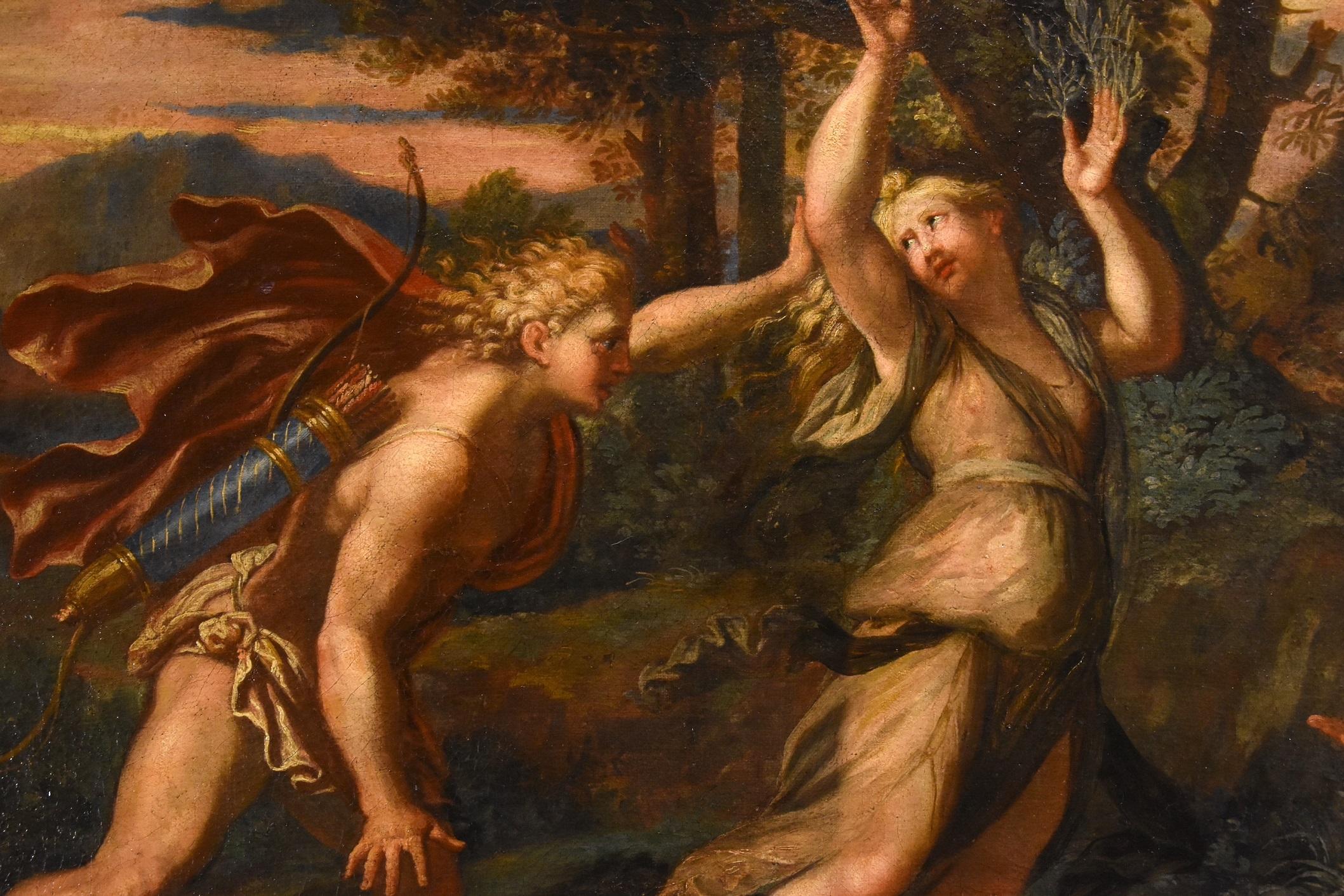 Myth Apollo Daphne Canini Paint Oil on canvas Old master 17th Century Italy For Sale 2