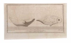 Lámpara de aceite con decoración - Grabado de Giovanni Battista Casanova - Siglo XVIII
