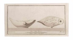 Lampada a olio con decorazione - Acquaforte di Giovanni Battista Casanova - XVIII secolo