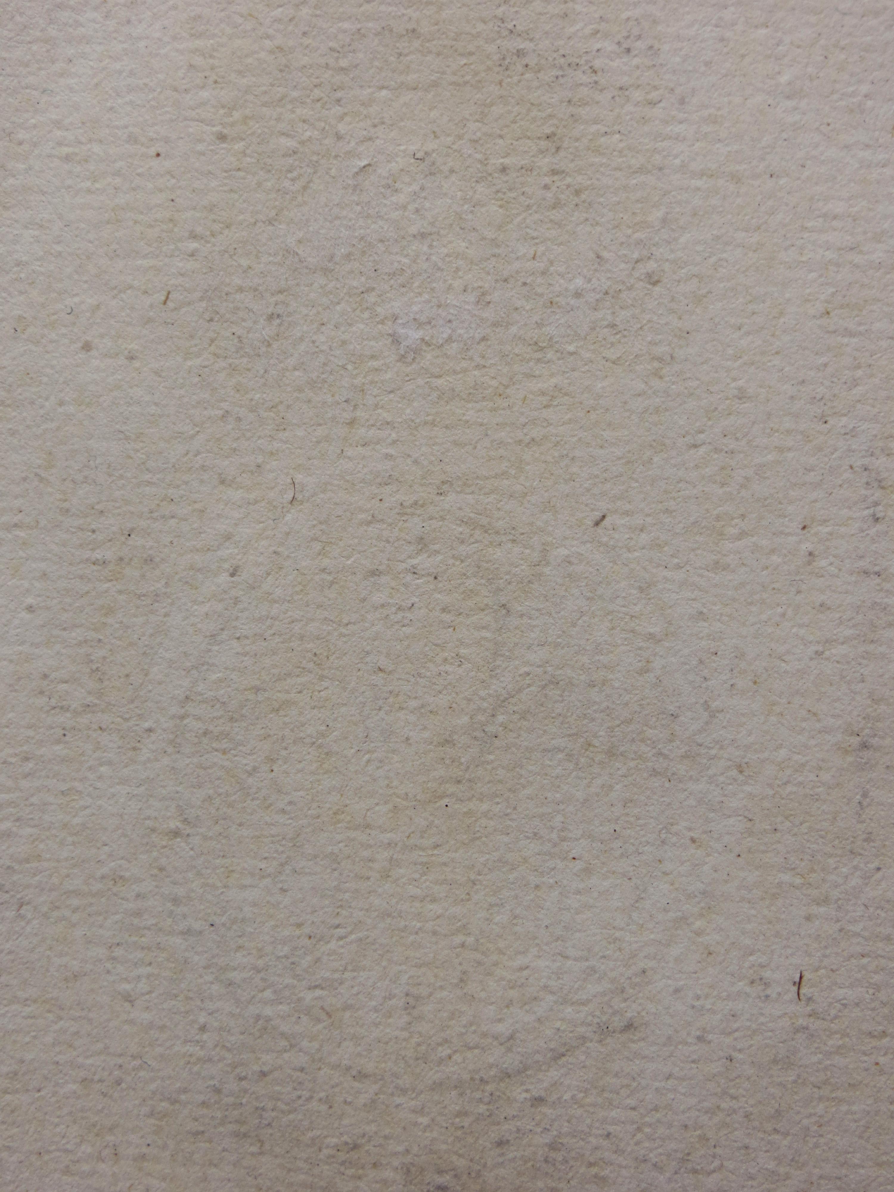 This mid-18th century etching by Giovanni Battista (Giambattista) Piranesi (b. 1720-1778) is titled “Spaccato Interno della Basilica di S. Paolo fuori della Mura” (“Cutaway view of the Interior of the Basilica of San Paolo fuori delle Mura”. It is