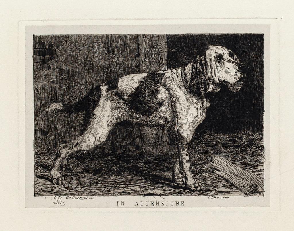 Alertness is an original etching, realized by  Giovanni Battista Quadrone.

The state of preservation of the artwork is good.

signed on the lower left.

The artwork represents an alerted dog, skillfully created by confident and strong strokes, in.