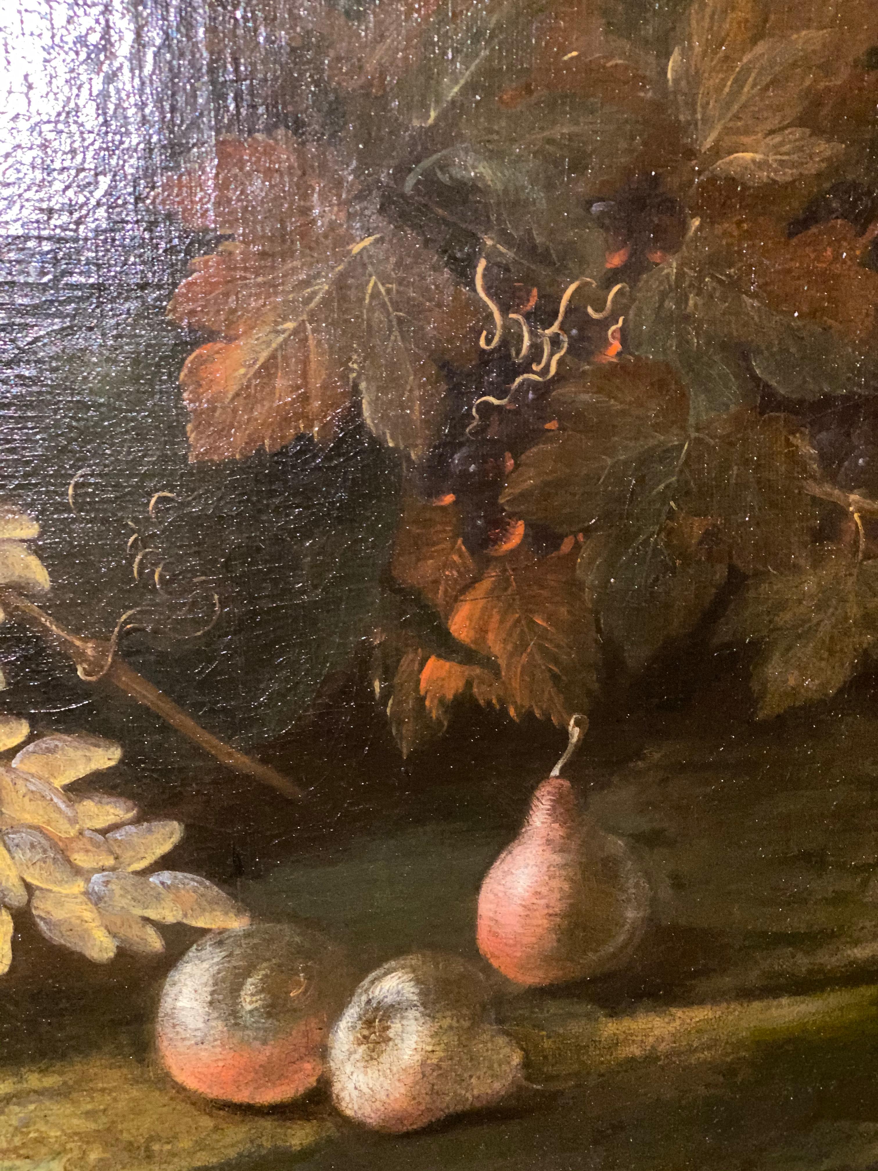 
This pair of excellent still life oil on canvas  attributed to Giovan Battista Ruoppolo Neapolitan painter of still-lifes of the 17' century . He was a pupil of Paolo Porpora (1617–1673), a contemporary of Salvatore Rosa. Additional Porpora pupils