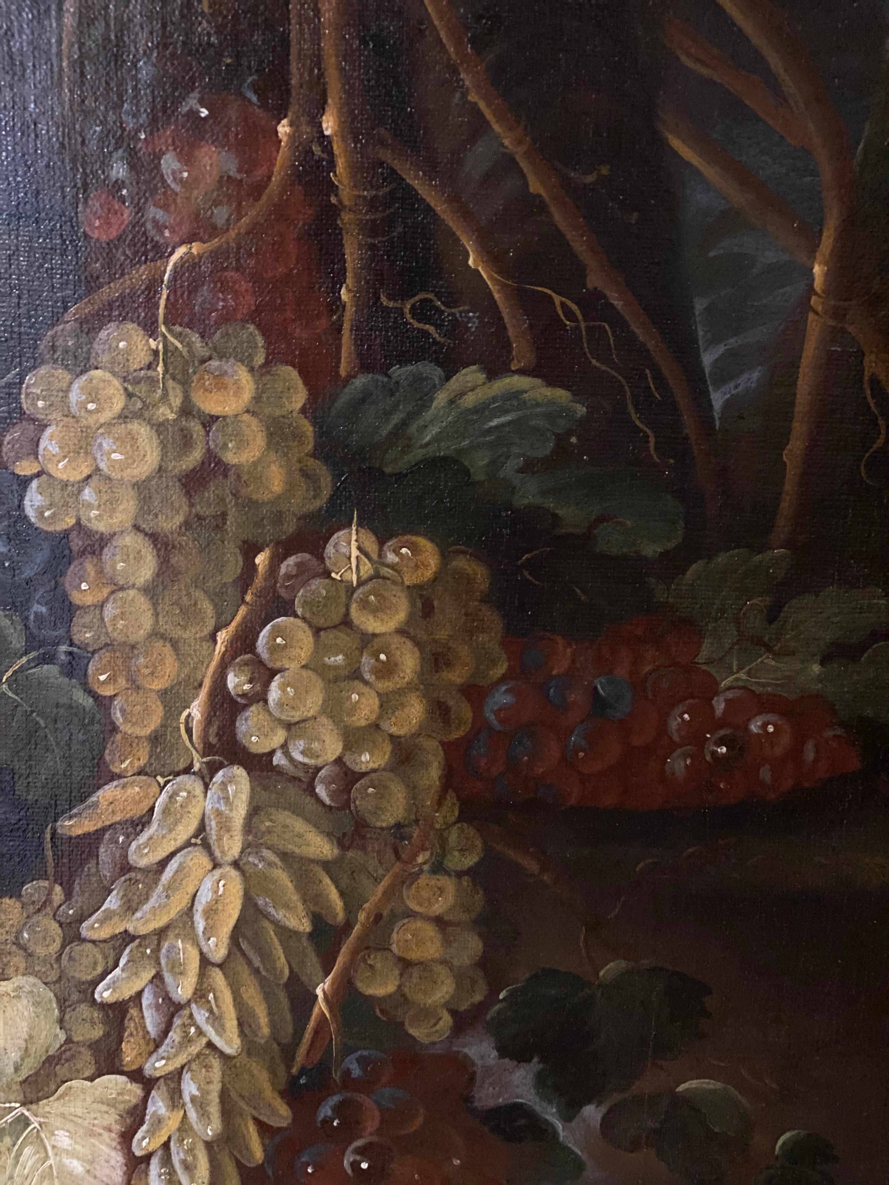 Pair of Exceptional Italian 17th Century Still-Life Paintings  3