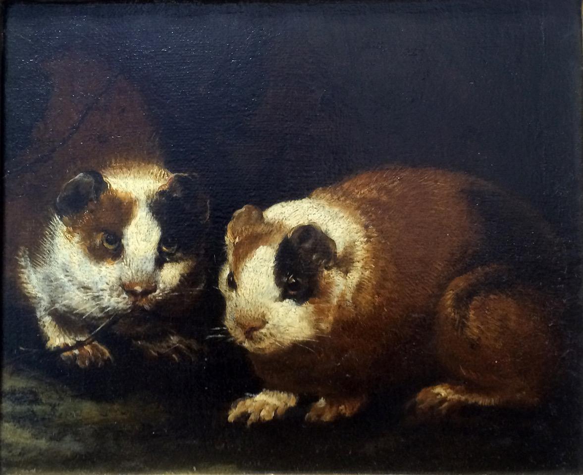 Giovanni Cassana a reçu sa première formation auprès de son père et de son frère, qui était alors un portraitiste réputé, et de Jacob van de Kerkhoven, un peintre animalier flamand réputé qui vivait à Venise. Cassana a commencé sa carrière en