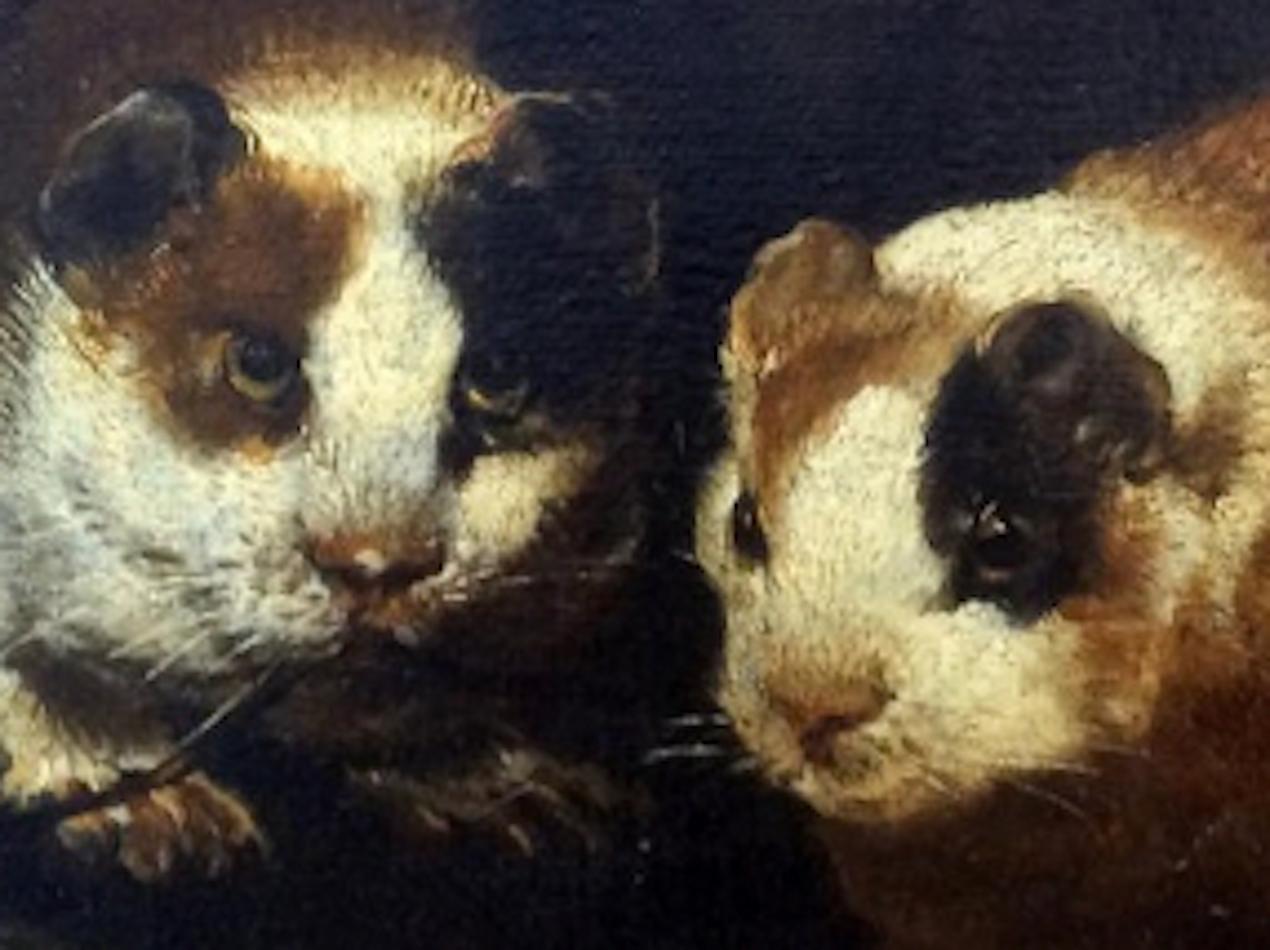 TORTOISESHELL GUINEA PIGS, peinture italienne de maîtres anciens, toile à l'huile du 18e siècle en vente 1