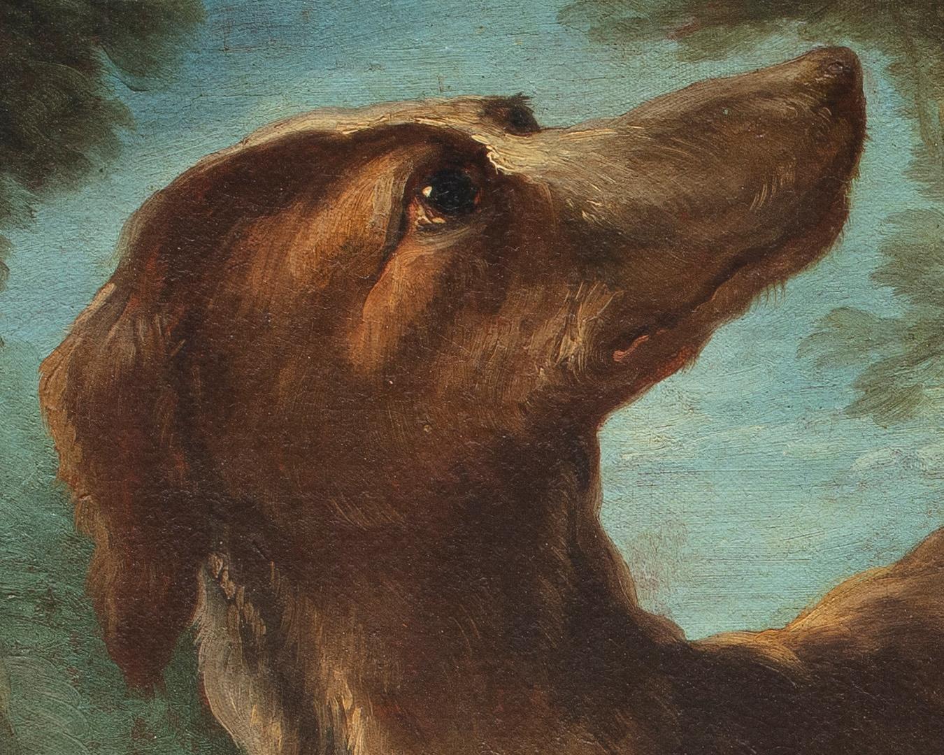 18th Century by Giovanni Crivelli Still life with dog and game Oil on canvas – Painting von Giovanni Crivelli, known as Il Crivellino 