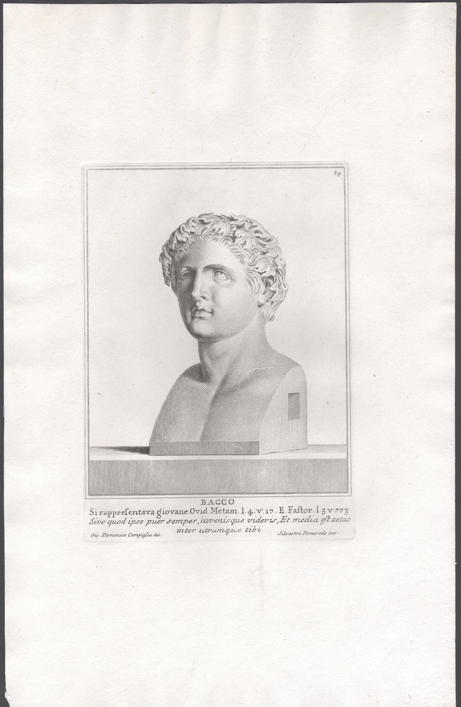 Bacchus, buste romain ancien, gravure d'antiquités classique du 18e Grand Tour - Print de Giovanni Domenico Campiglia