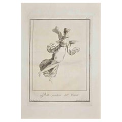 Ancienne gravure romaine Fresco Herculaneum de G. Morghen  - 18ème siècle