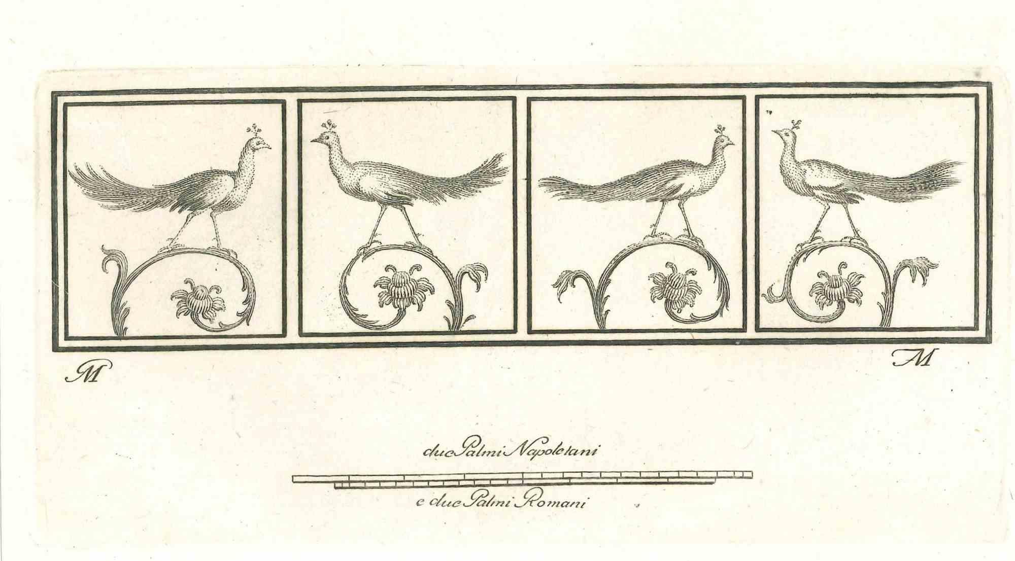 Giovanni Elia Morghen Figurative Print - Birds - Etching  - 18th Century