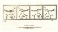 Birds - Etching  - 18th Century
