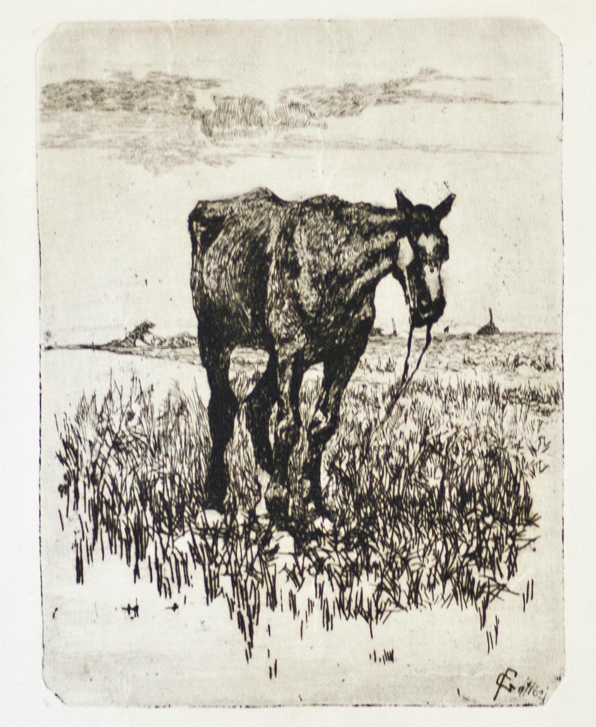 Le cheval ancien - eau-forte de Giovanni Fattori - 1900-1908 environ en vente 2