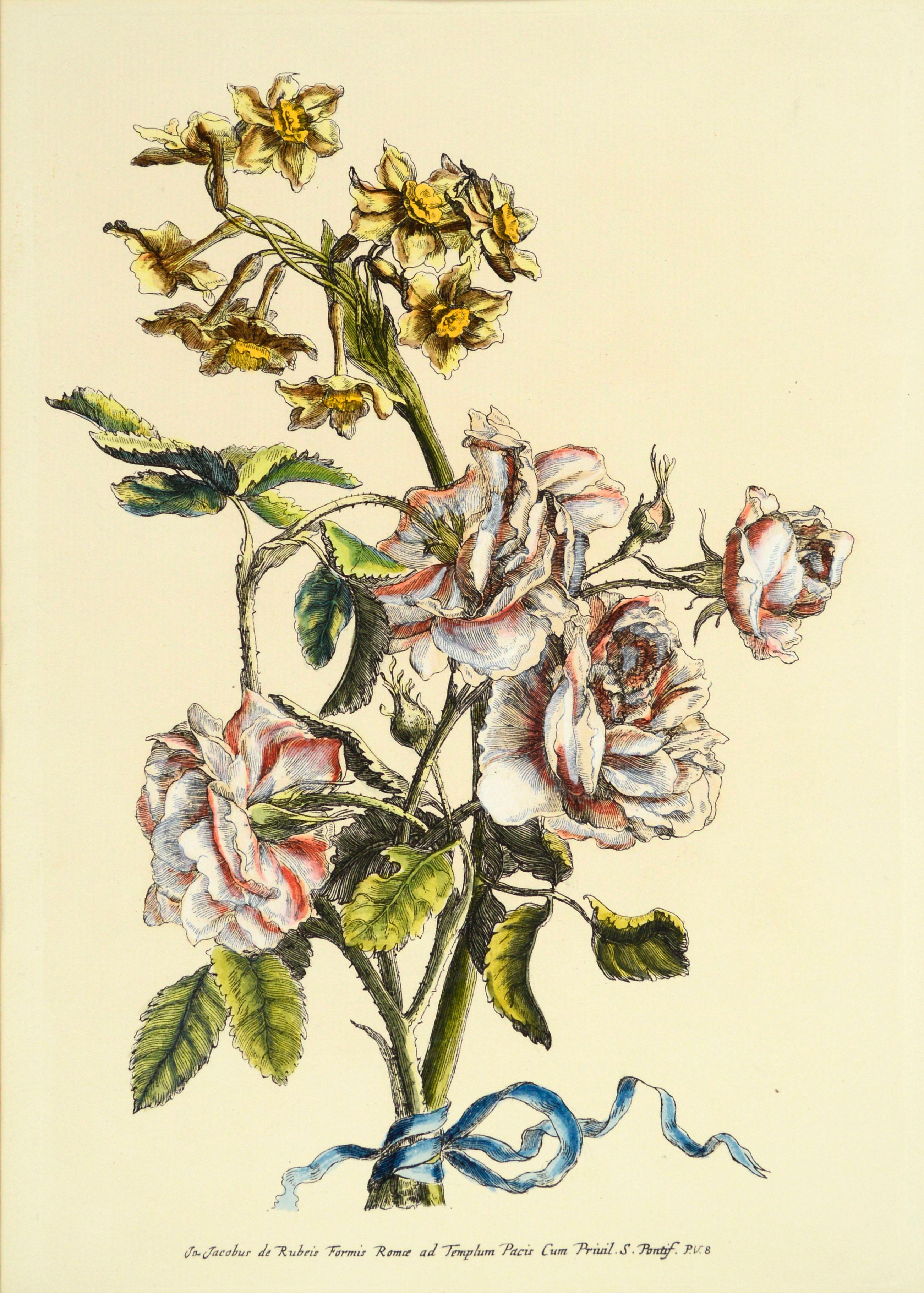 Grabado botánico italiano antiguo, edición 7/8 según Giovanni Giacomo de' Rossi 1