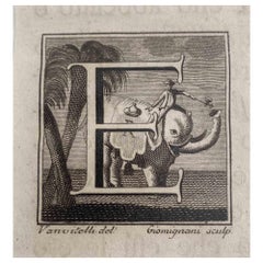 Antigüedades de Herculano - Letra E - Aguafuerte de G. Mignani - Siglo XVIII