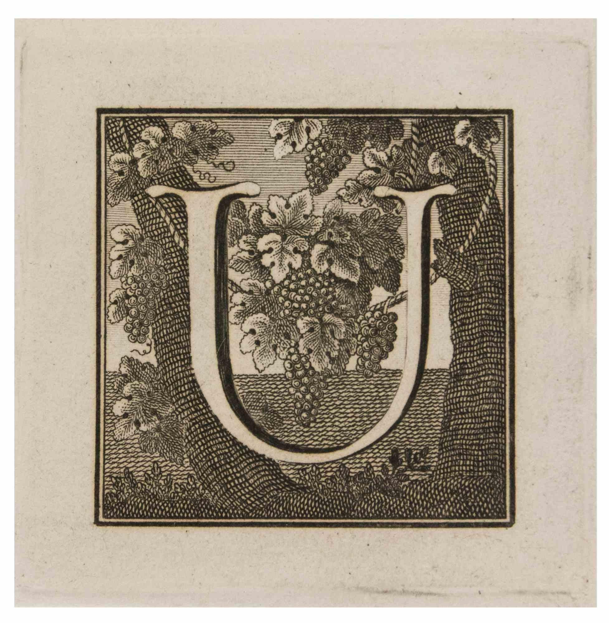 Antiquités d'Herculanum - Lettre de l'alphabet U, de la série "Antiquités d'Herculanum", est une eau-forte sur papier réalisée par Giovanni Mignani au XVIIIe siècle.

Bonnes conditions à l'exception de quelques rousseurs dues à l'époque.

La gravure