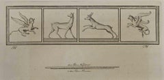 Animals and Griphons - Etching Giovanni Morghen - 18th Century