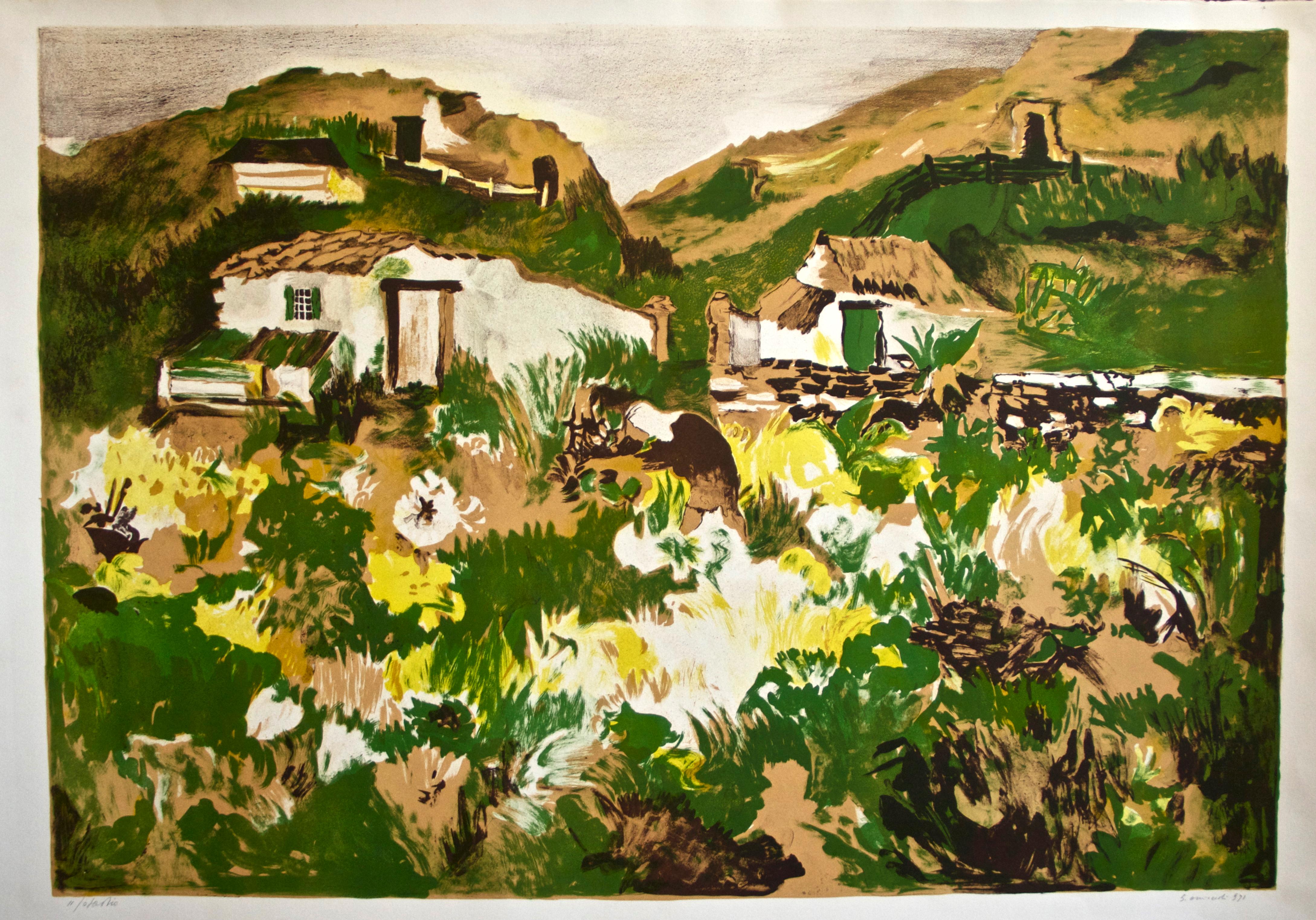 Firmato a mano. Prova d'artista, colorata a mano. Edizione limitata di 100 stampe.	
