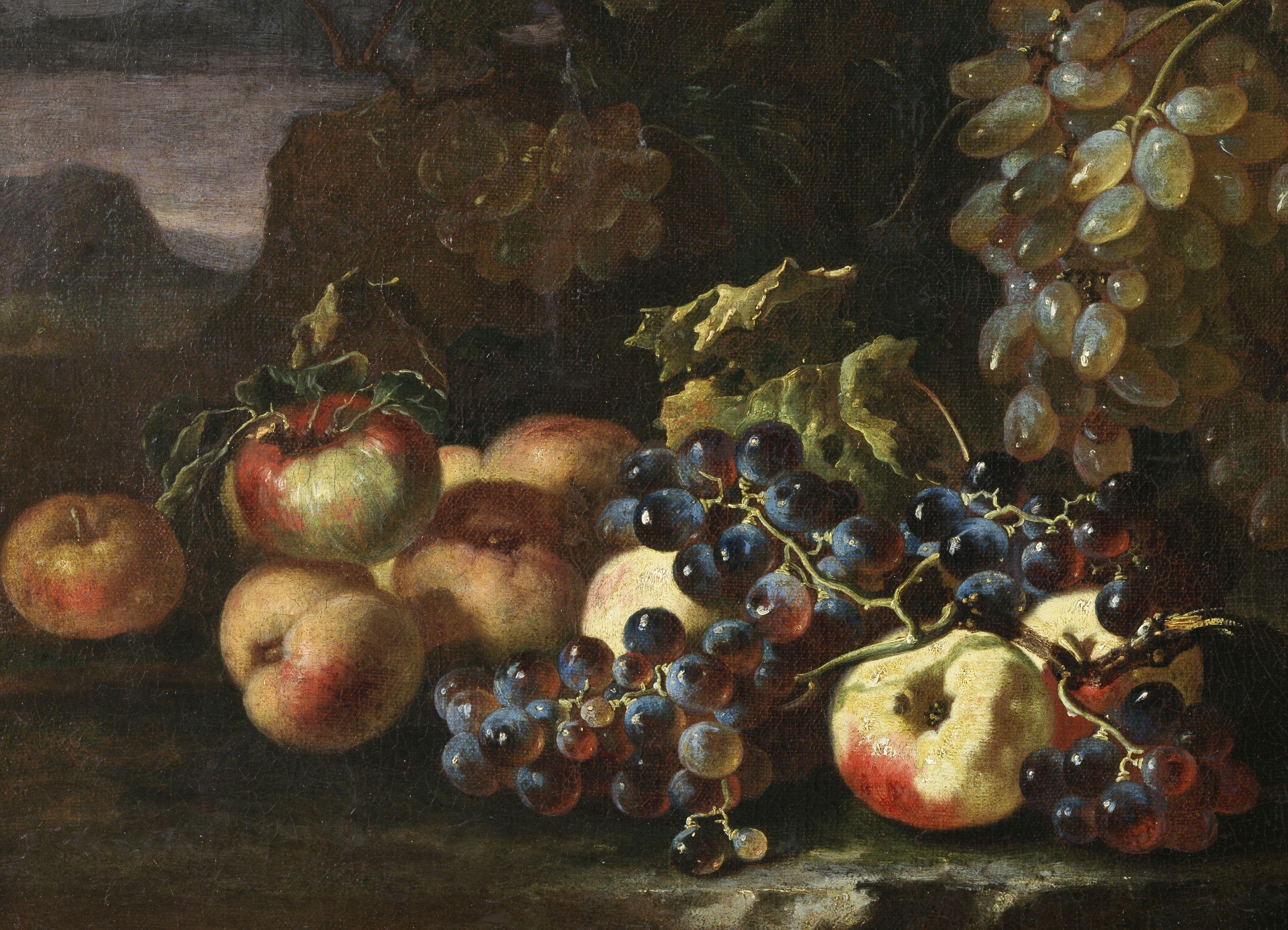 Ölgemälde auf Leinwand in den Maßen 50 x 99 cm ohne Rahmen und 62 x 111 cm mit zeitgenössischem Rahmen, das ein Früchtestillleben des Malers Giovanni Paolo Castelli, genannt Spadino ( Rom 1659 - 1730 ), darstellt.

Dieses prächtige Gemälde, das