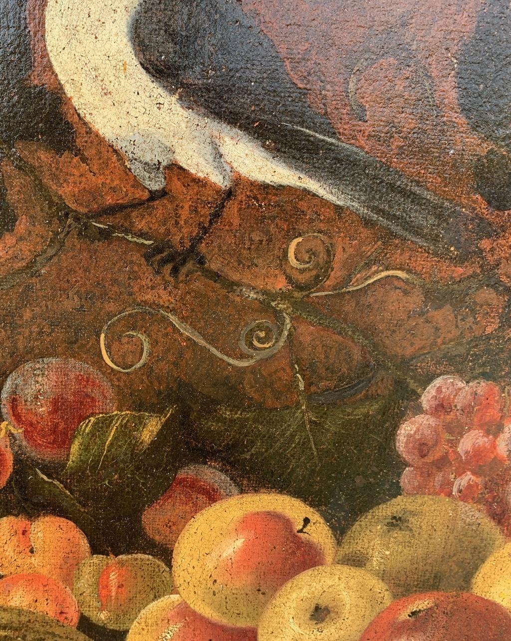 Baroque Italian painter- 18th century Still Life painting - Fruit bird  4