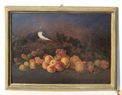 Baroque Italian painter- 18th century Still Life painting - Fruit bird