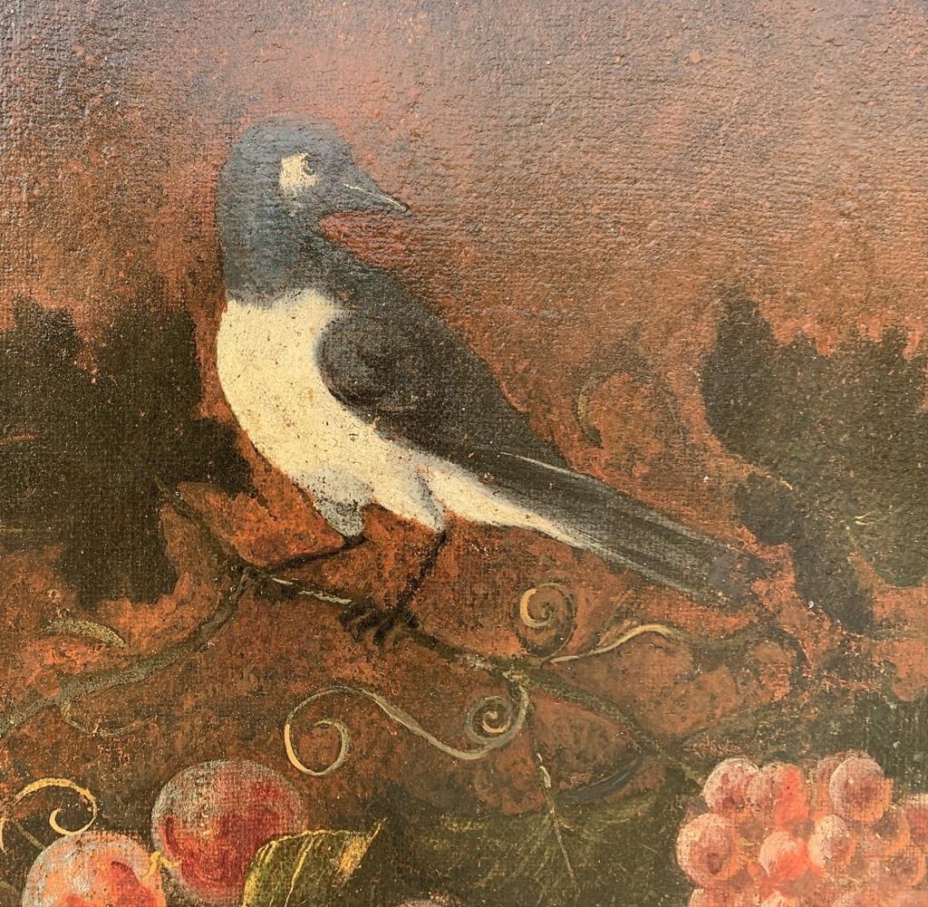 Circle Of Giovanni Paolo Castelli (rome 1659 - Rome C.1730)  - Still life with swallow.

64.5 x 88.5 cm without frame, 76 x 101 cm with frame.

Oil on canvas, in a wooden frame.

Condition report: Painting subjected to relining. Good state of