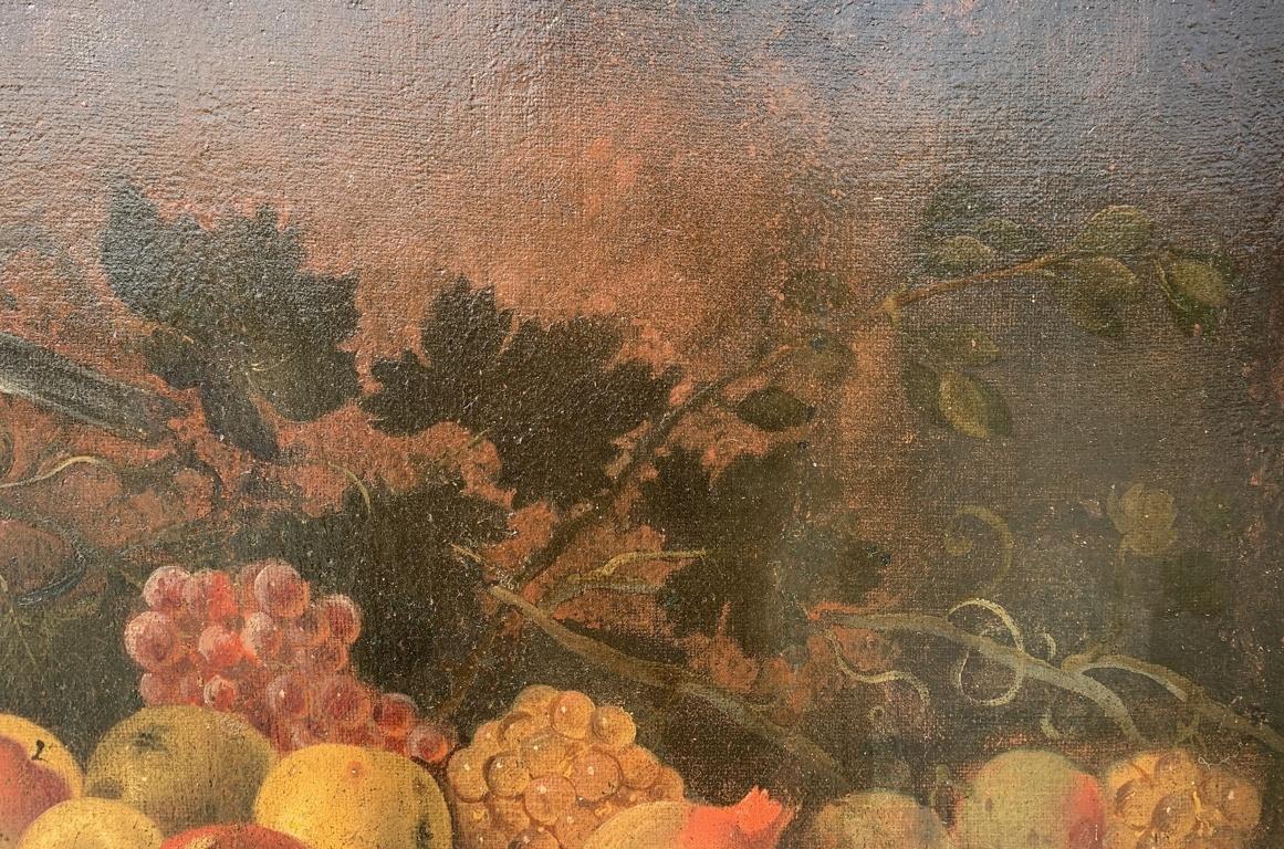 Baroque Italian painter- 18th century Still Life painting - Fruit bird  1