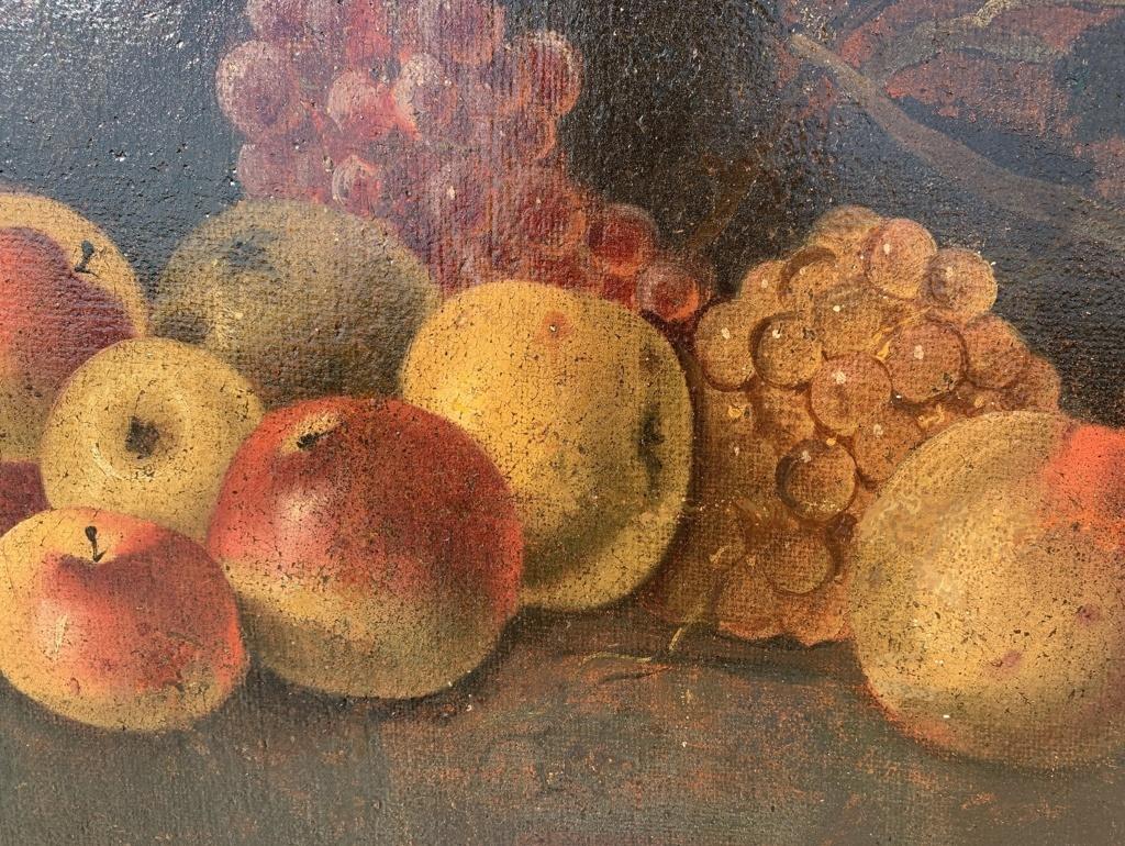 Baroque Italian painter- 18th century Still Life painting - Fruit bird  3