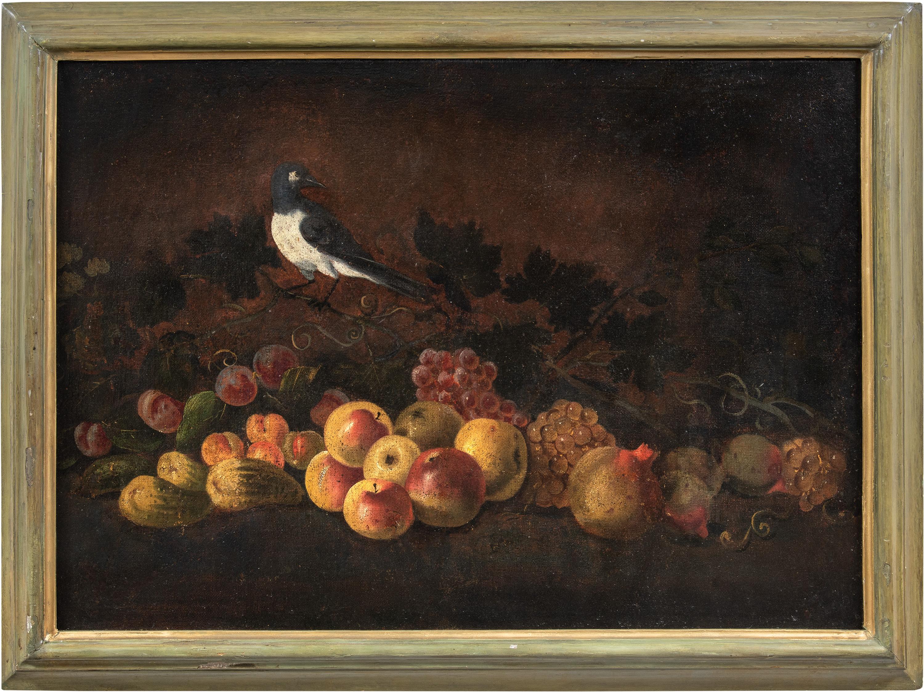 Giovanni Paolo Castelli detto Spadino Figurative Painting - Baroque Italian painter- 18th century Still Life painting - Fruit bird 