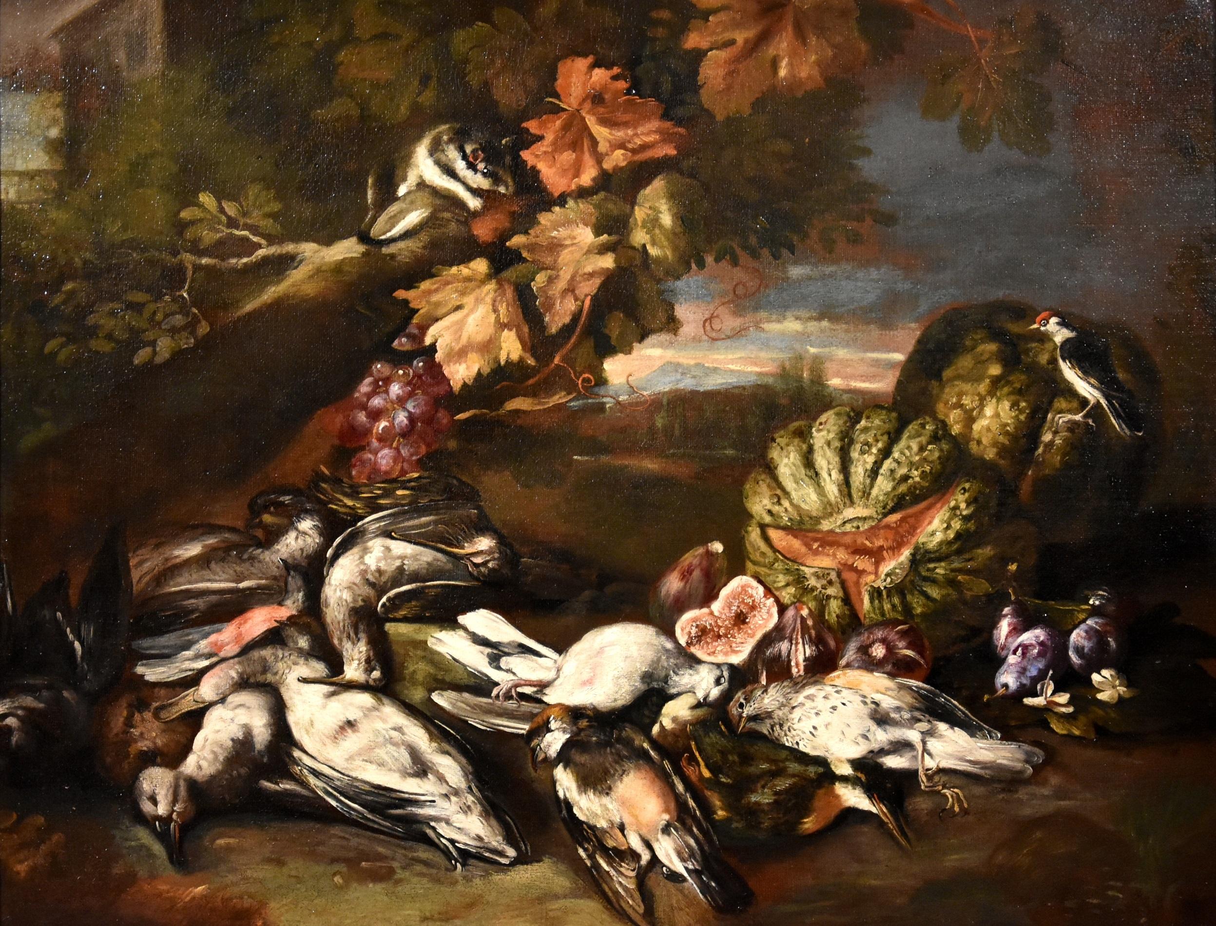 Stillleben Blumenlandschaft Castelli Gemälde Öl auf Leinwand Alte Meister italienische Kunst – Painting von  Giovanni Paolo Castelli, known as Spadino (Rome, 1659 - 1730)
