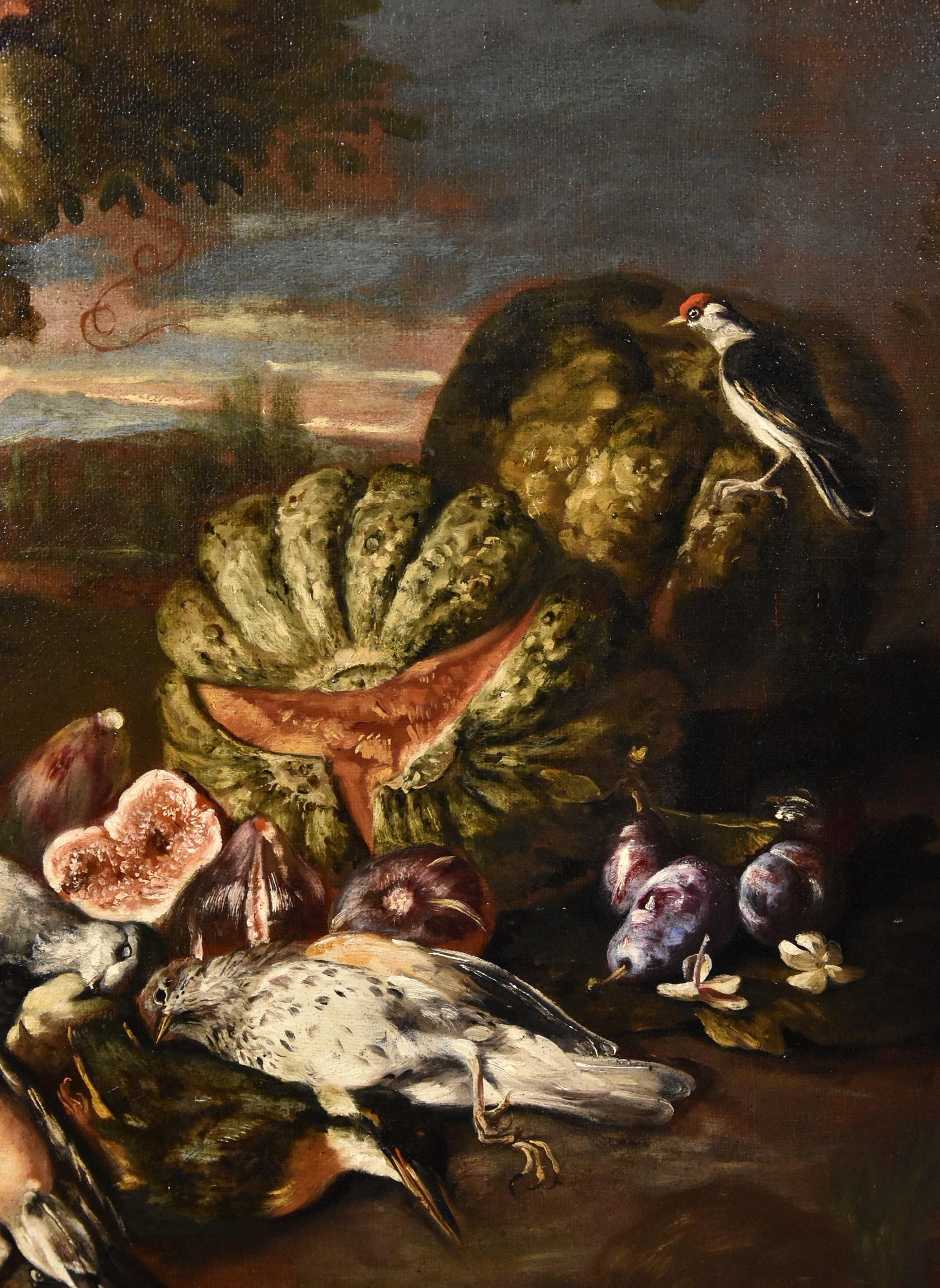Still-Life Flower Landscape Castelli Paint Oil on canvas Old master Italian art - Brown Still-Life Painting by  Giovanni Paolo Castelli, known as Spadino (Rome, 1659 - 1730)