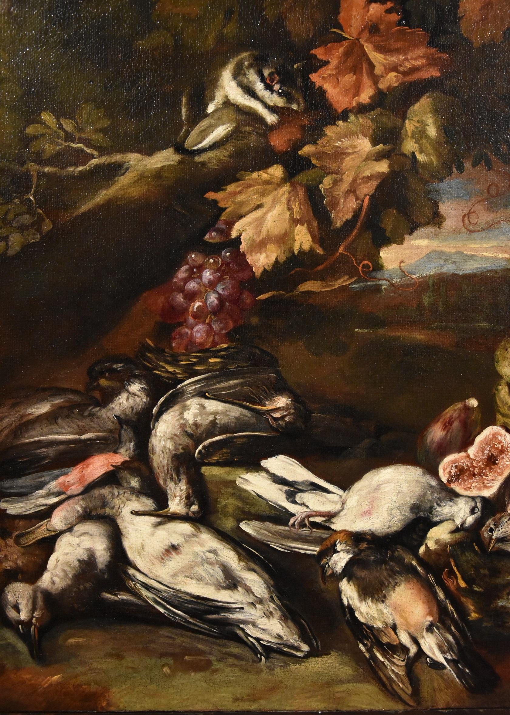 Still life in a landscape with fruit and game
Work of the late Roman Baroque of the late seventeenth / eaarly eighteenth century
attributable to Giovanni Paolo Castelli, known as Spadino (Rome, 1659 - 1730)

oil on canvas
62 x 76 cm., Framed 90 x