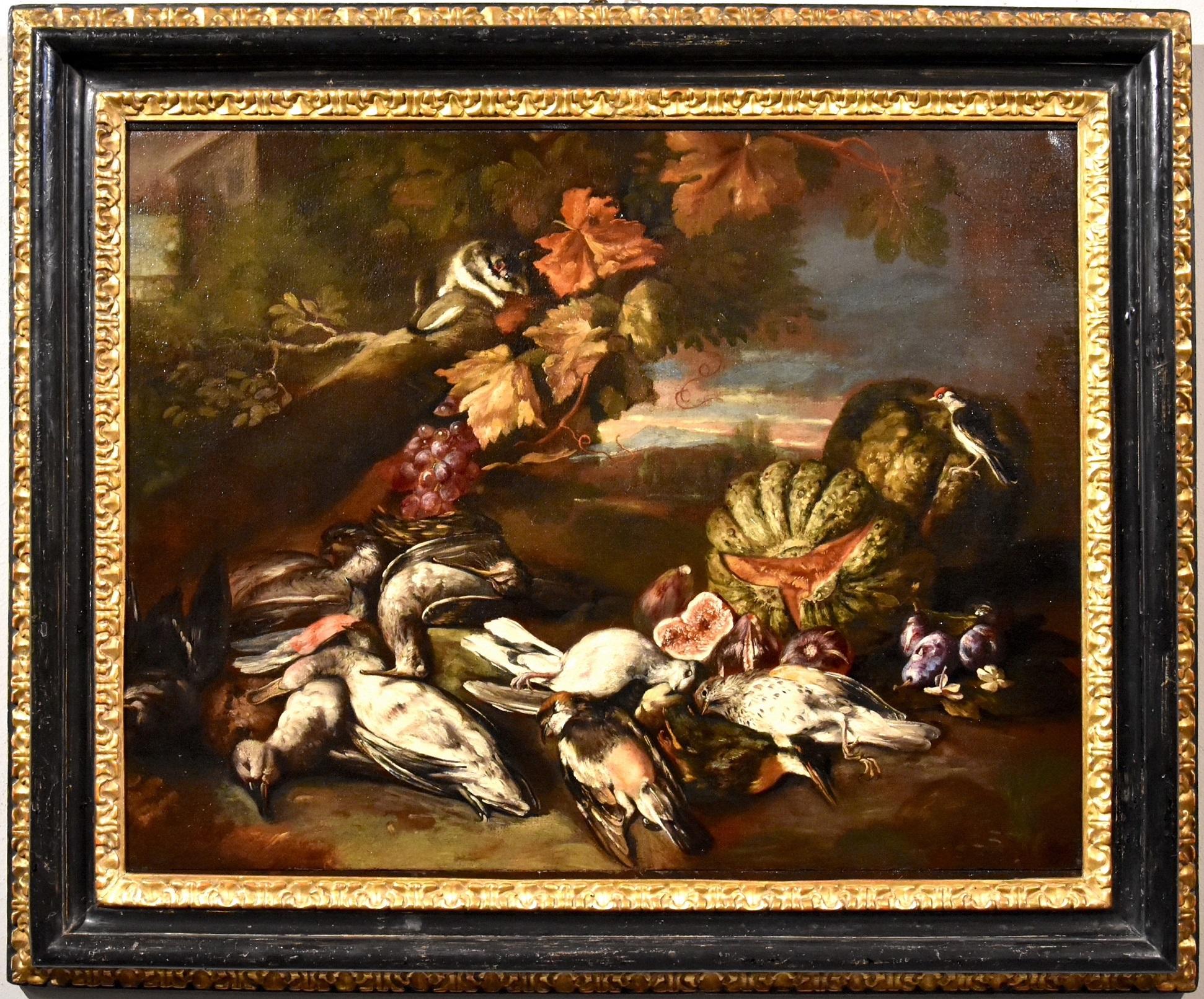  Giovanni Paolo Castelli, known as Spadino (Rome, 1659 - 1730) Still-Life Painting – Stillleben Blumenlandschaft Castelli Gemälde Öl auf Leinwand Alte Meister italienische Kunst