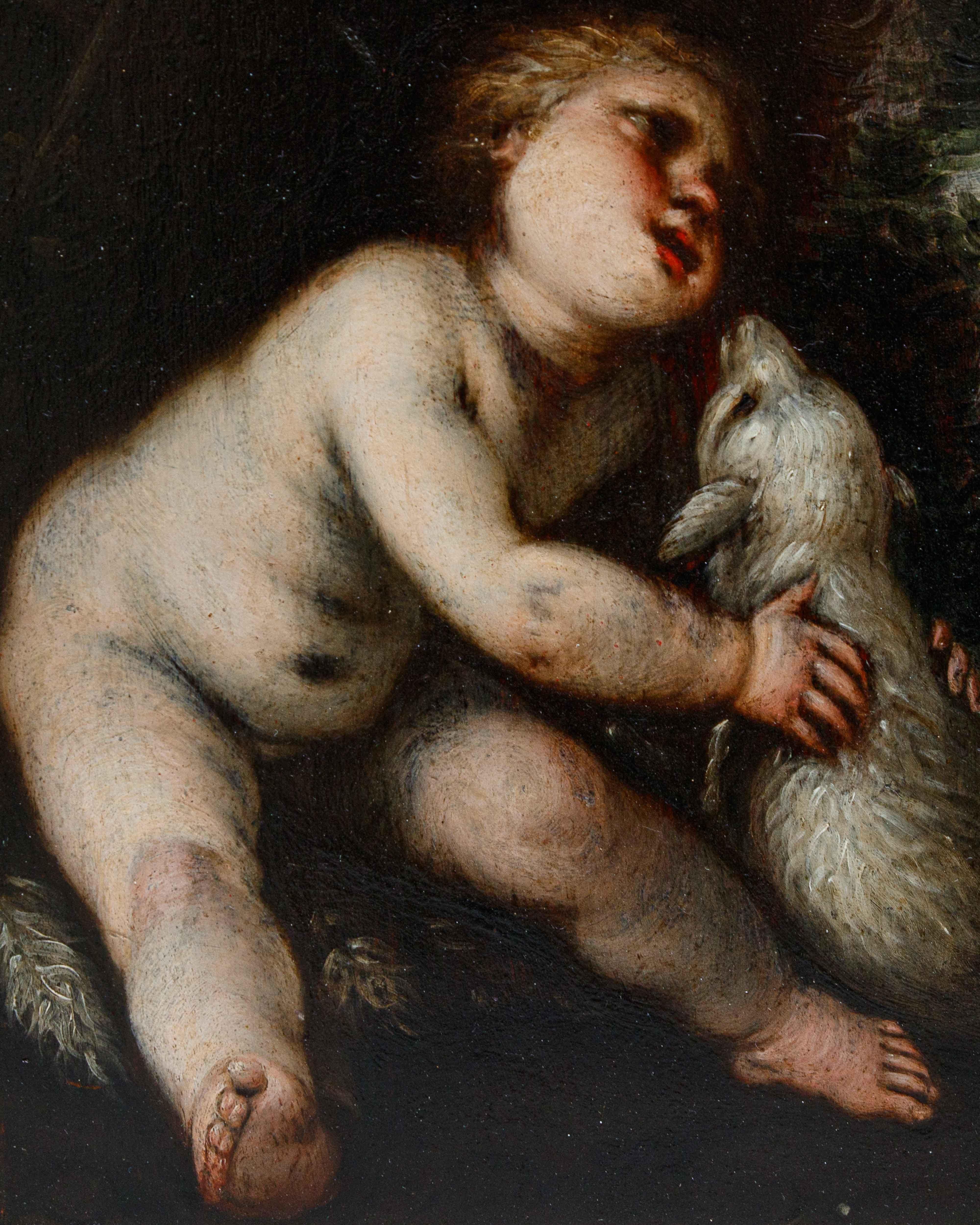 Giovanni Stefano Danedi, genannt Montalto (Treviglio, 1612 - Mailand, 1690)

Der heilige Johannes mit dem Lamm

Öl auf Platte, 35 x 27,5 cm

Gerahmt, 51 x 47 cm

Das hier vorgestellte Werk ist zusammen mit dem im Stadtmuseum von Monza aufbewahrten