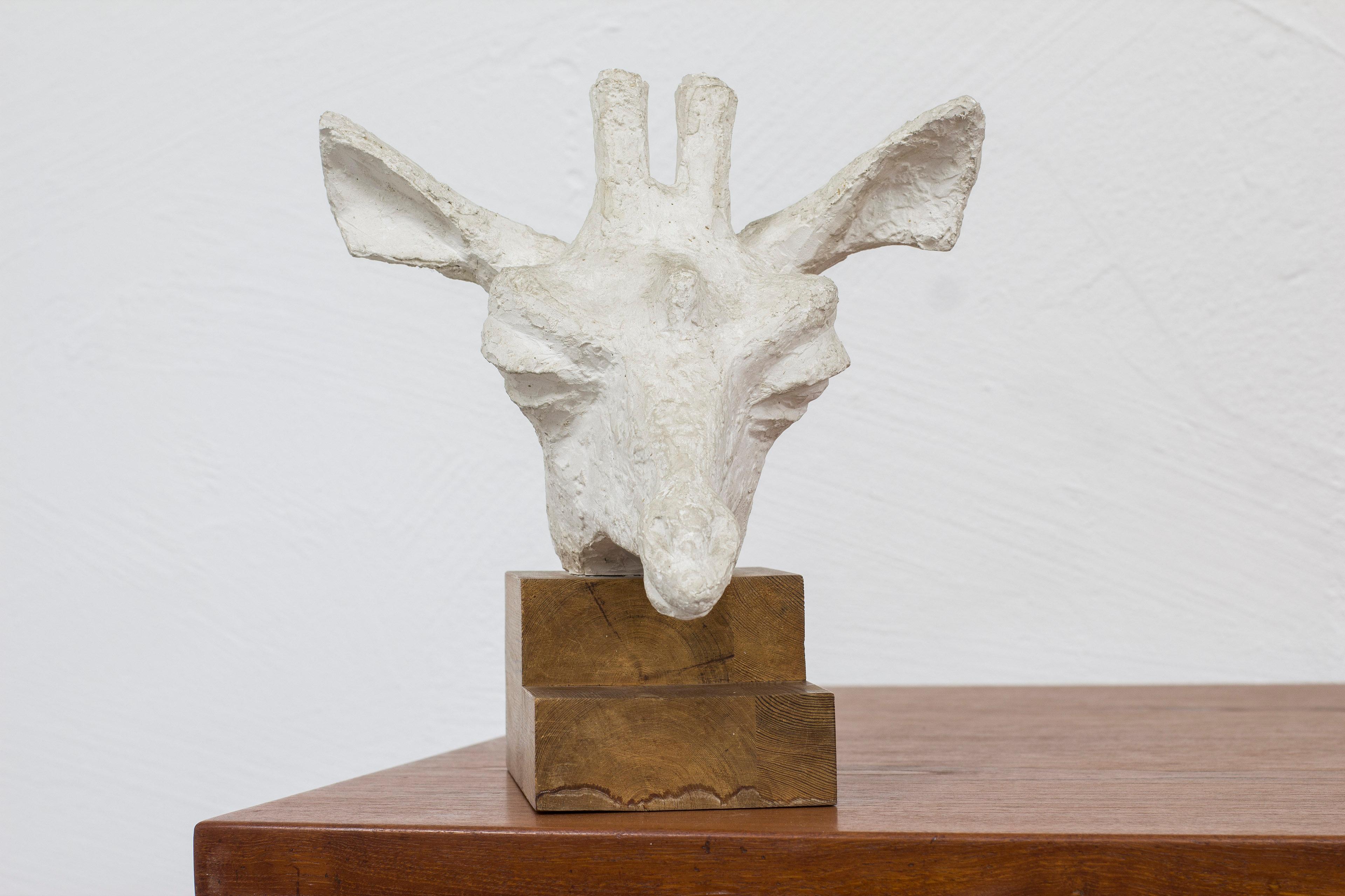 Sculpture ancienne de l'artiste suédois Asmund Arle. Fabriqué en Suède en 1949. Représentation d'une tête de girafe. Plâtre et pin. Signé A. Arle, 1949. Bon état avec une patine liée à l'âge.

Asmun Arle (1918-1990), né à Malmö en Suède, est un