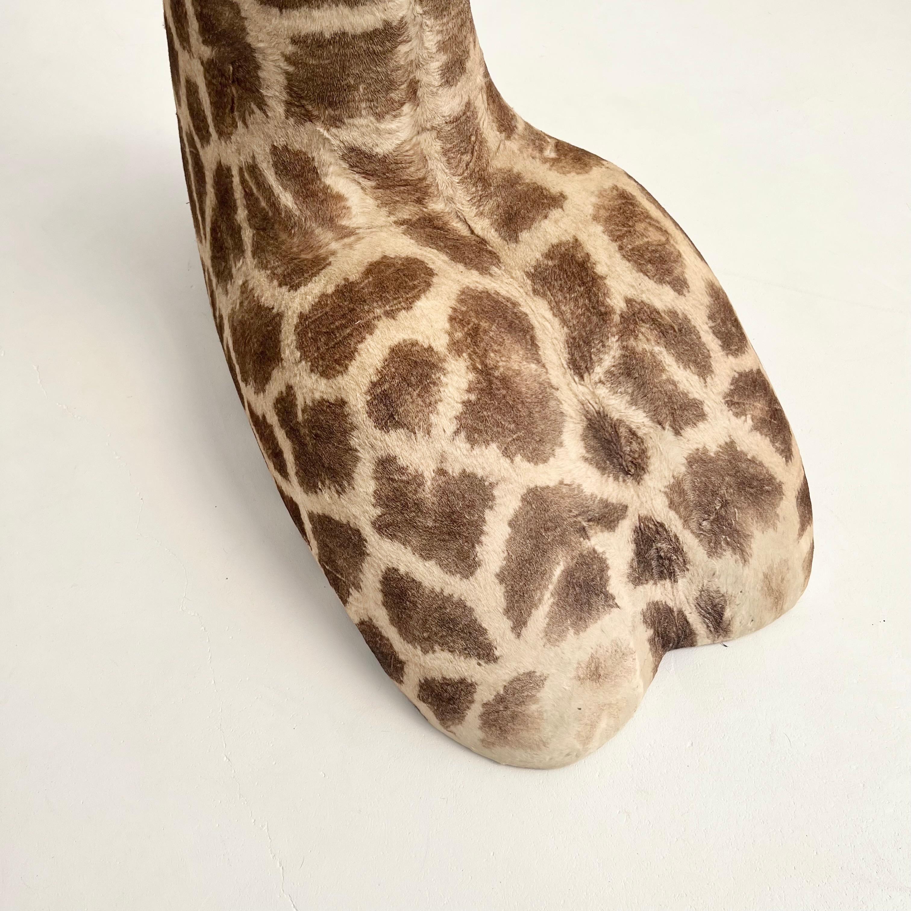 Giraffe Taxidermy Floor Mount, 1980s For Sale 6
