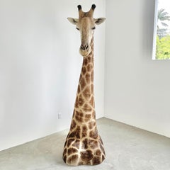Giraffe Taxidermy Mount, 1970s
