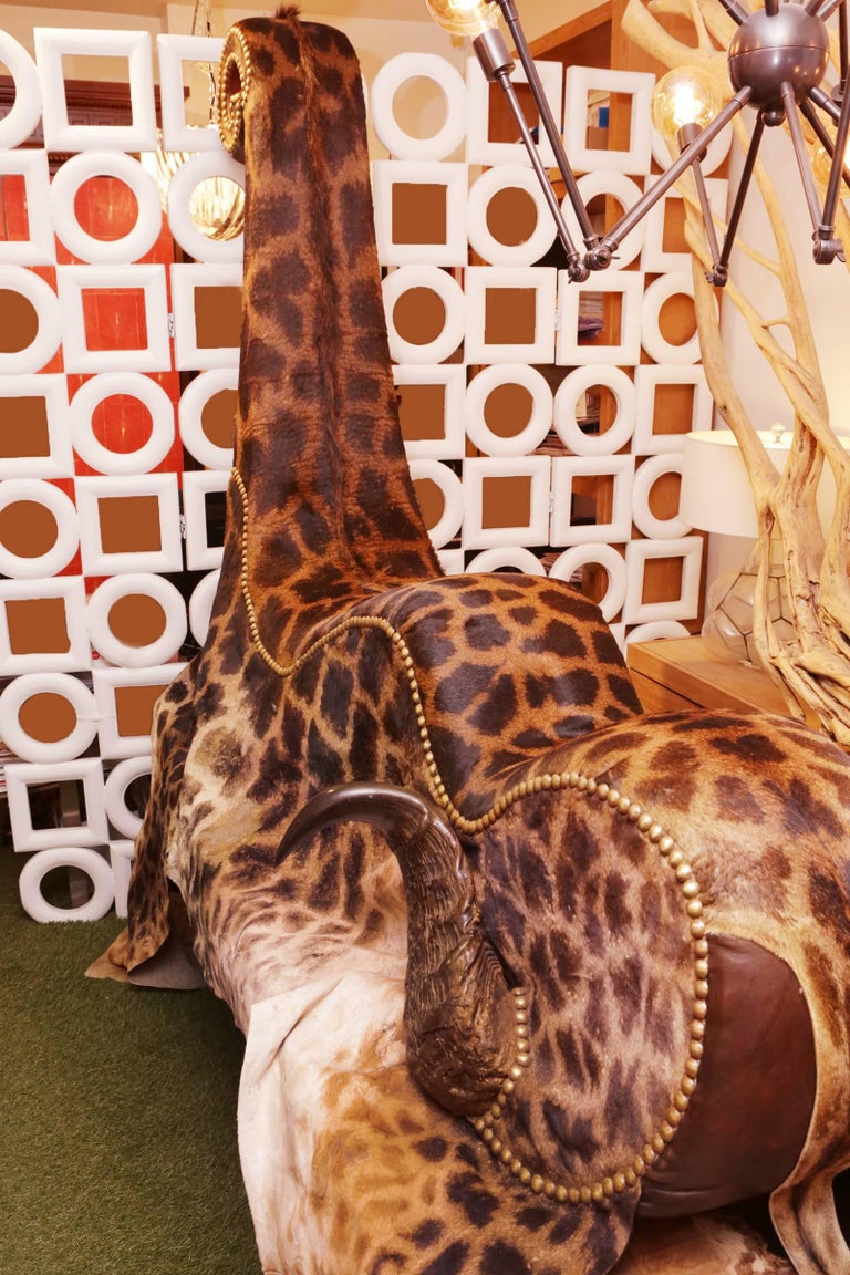 French Girafle Grand Armchair with Buffalo Horns