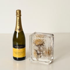 Giraudon Lucite Sculpture or Paperweight with Encased Flowers, France, 1970s