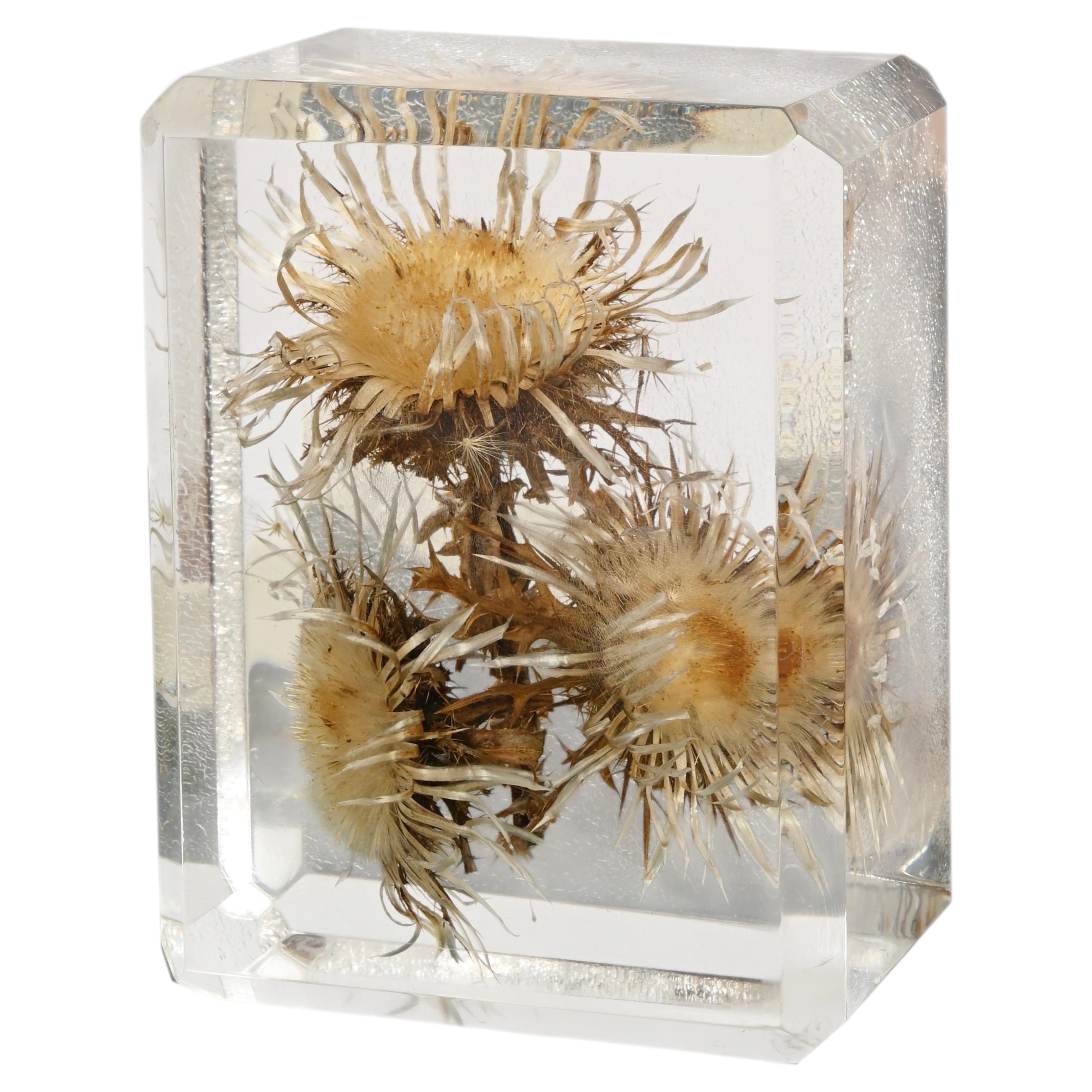 Giraudon Lucite Sculpture or Paperweight with Encased Flowers, France, 1970s For Sale