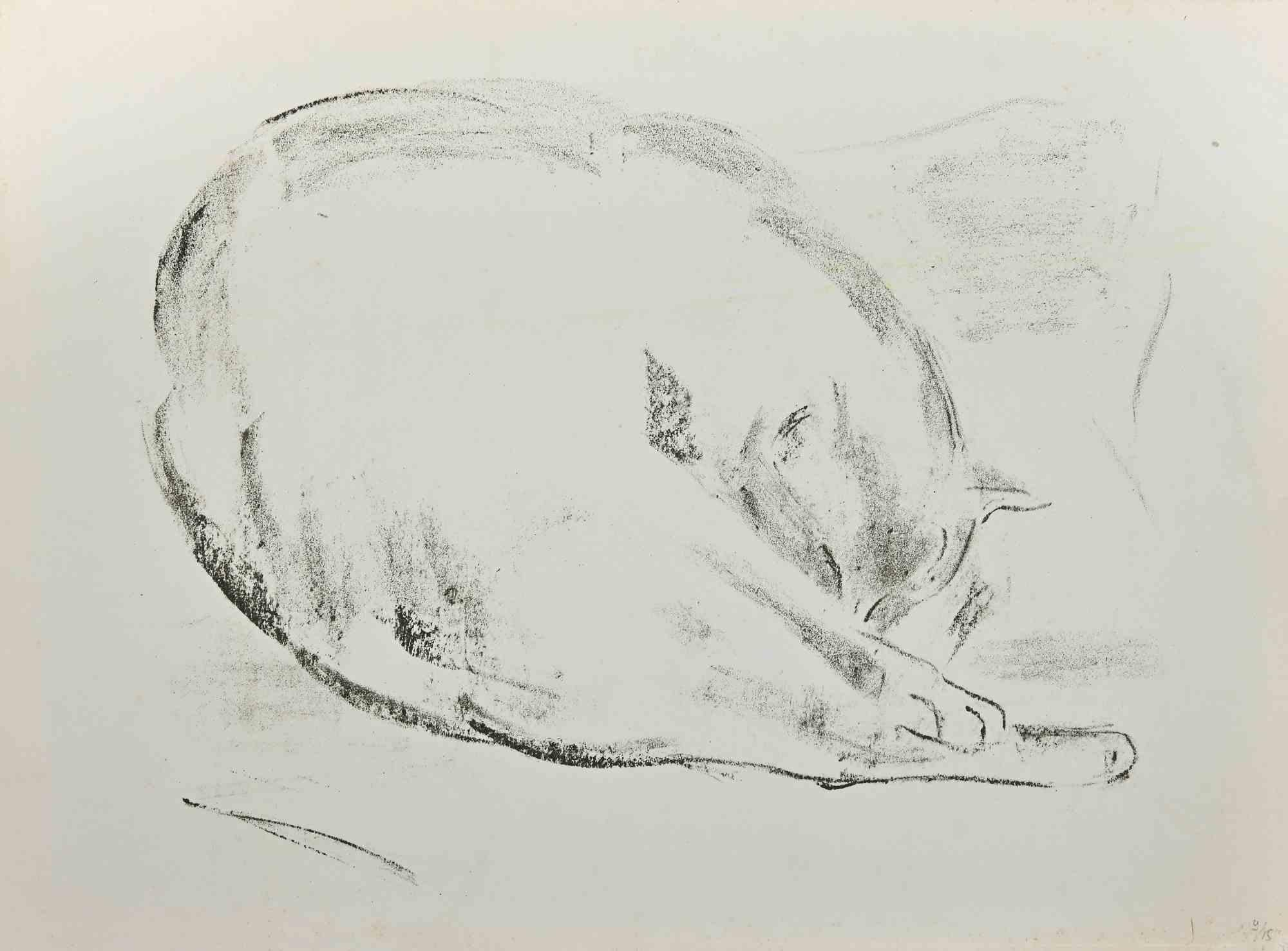 Cat - Original Lithograph by Giselle Halff - Mid-20th Century