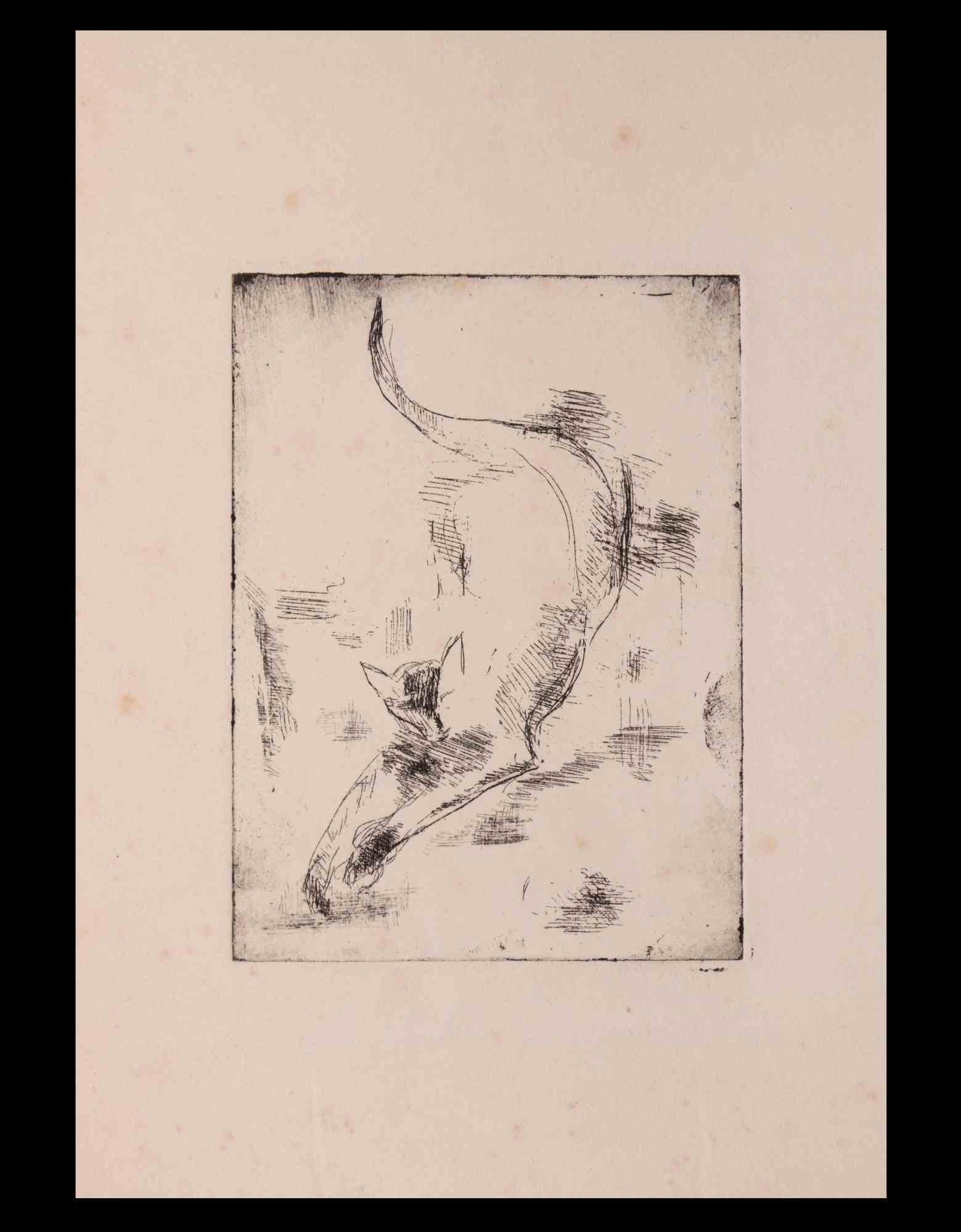 Le chat  -  Gravure et pointe sèche de Giselle Halff, années 1950