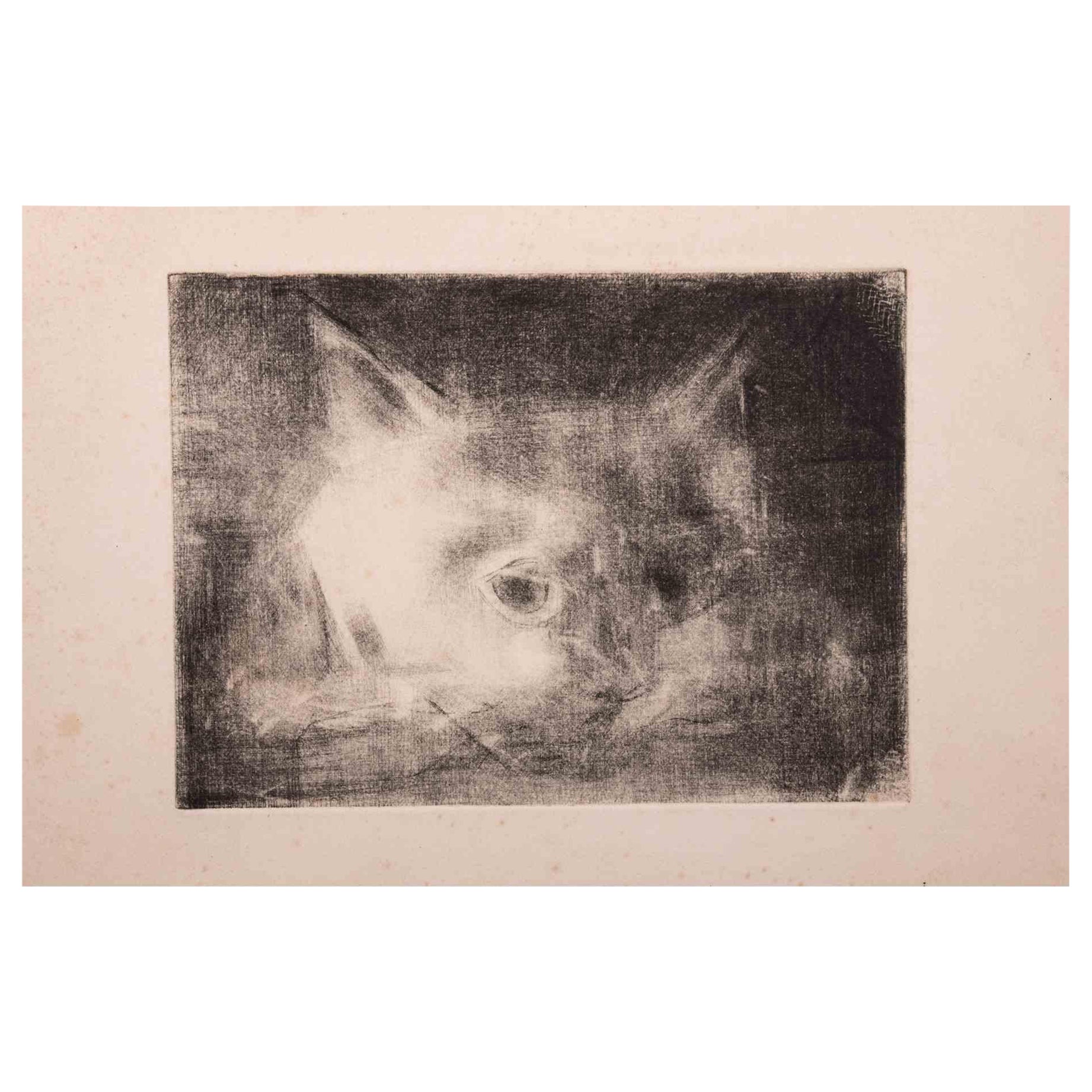 Il gatto - Acquaforte originale di Giselle Halff - Anni '50