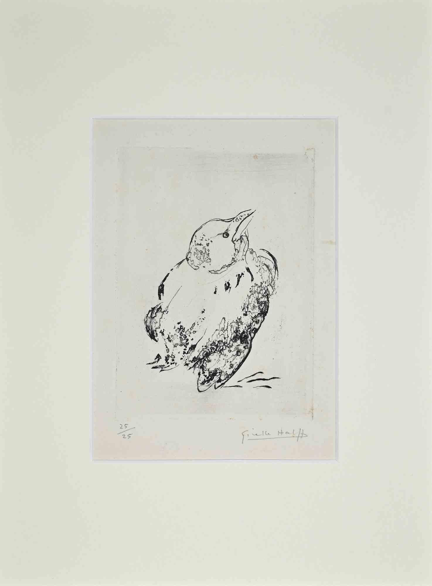 Bird - Original Etching and Aquatint by Giselle Hallf - Mid-20th Century - Print by Giselle Halff