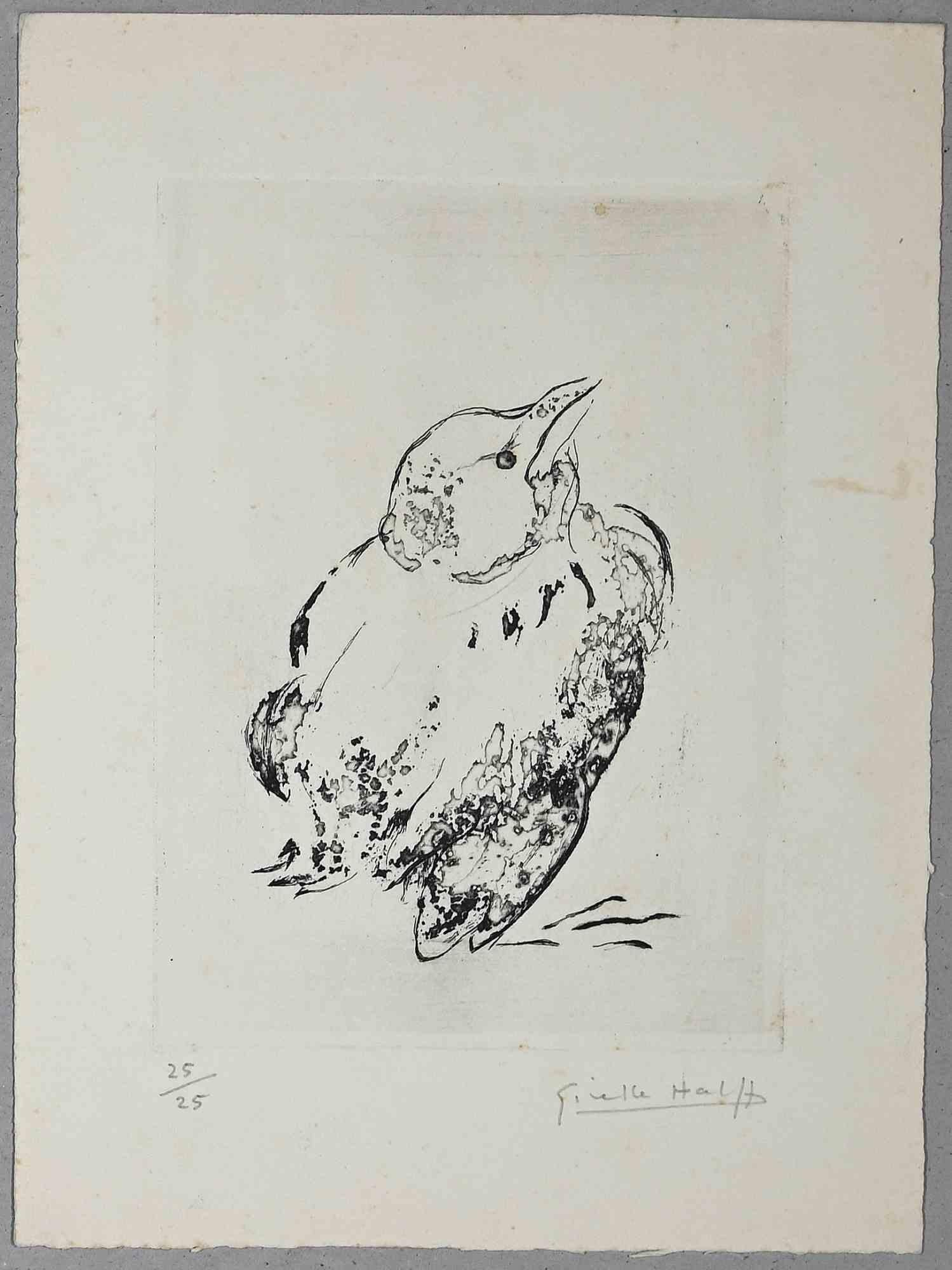 Giselle Halff Figurative Print - Bird - Original Etching and Aquatint by Giselle Hallf - Mid-20th Century