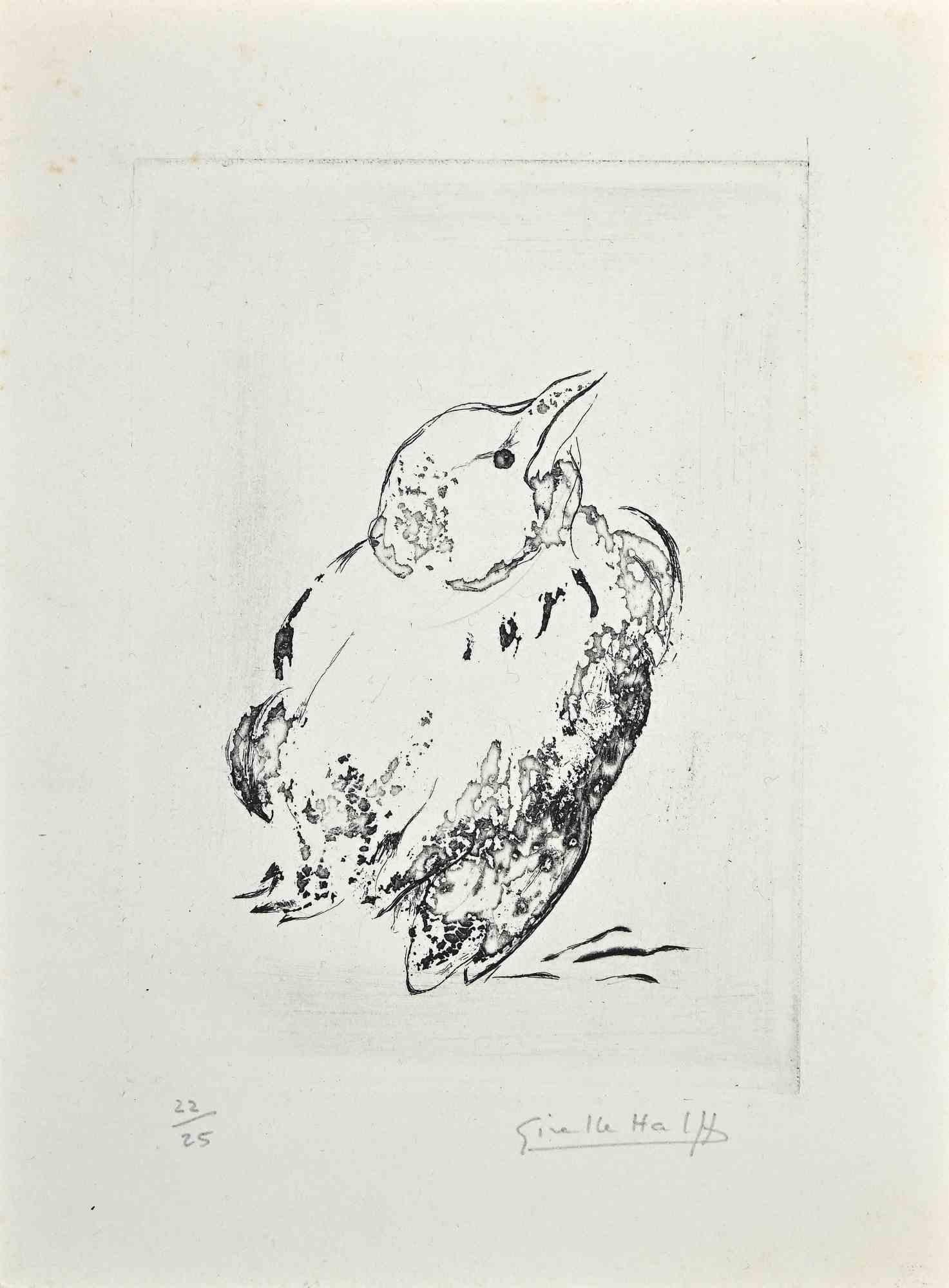 Pigeon - Original Etching by Giselle Hallf - Mid-20th Century
