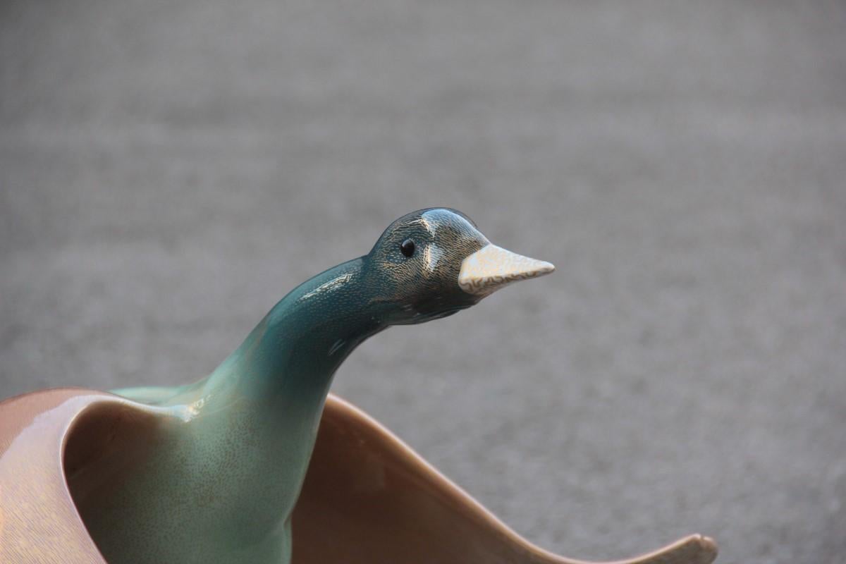 giulia duck