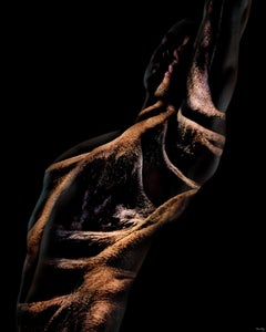 "Acacia ARM1" Abstract Photograph 60" x 48" in Limited Ed. 1/4 by Giuliano Bekor
