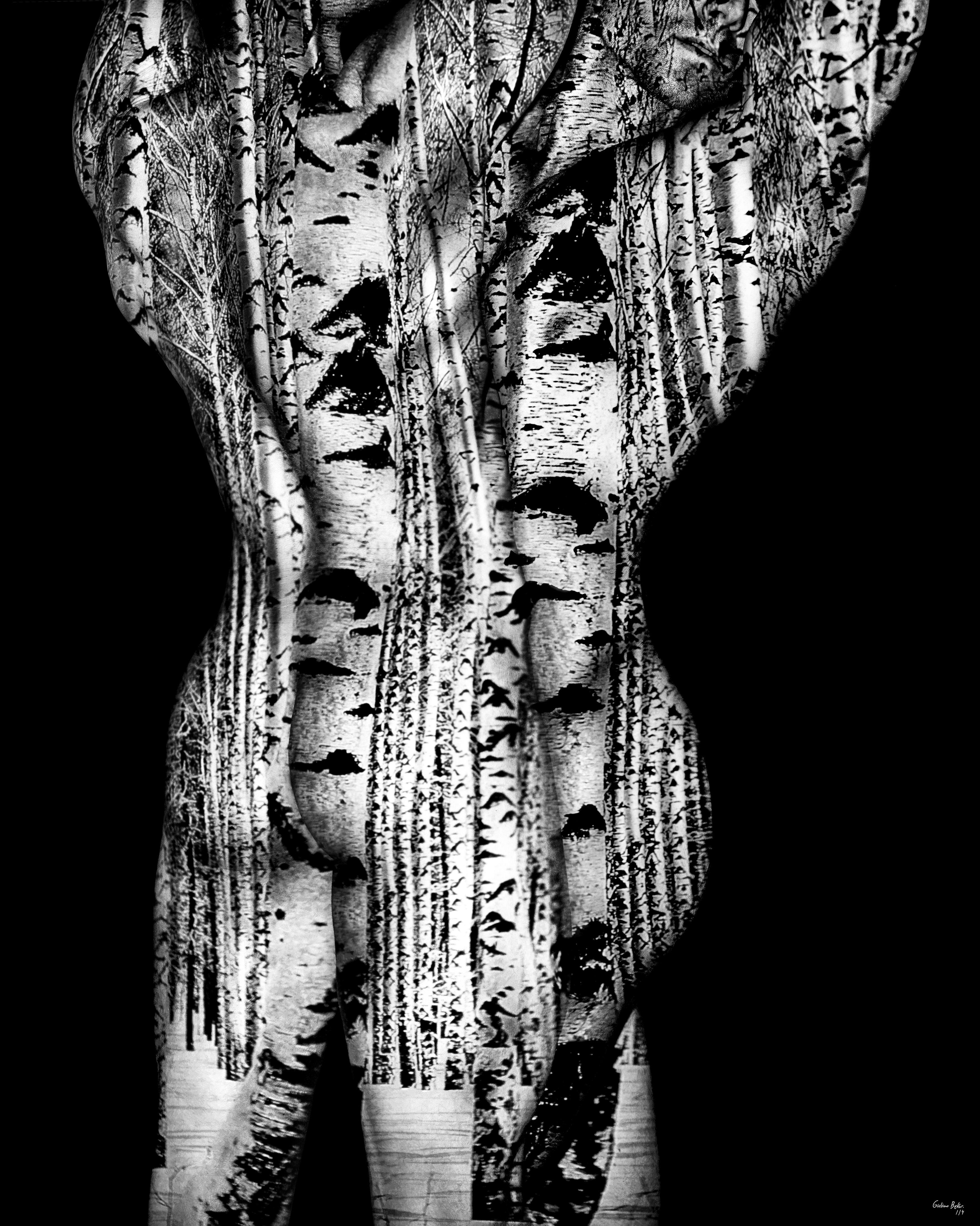 "Acacia ARM11" Photographie abstraite 60 x 48 en édition 1/4 par Giuliano Bekor

Série Acacia
Titre de l'œuvre : ARM5
Année : 2020
Imprimé sur un papier photo d'archives de haute qualité, de type musée. Non encadré.
Taille d'impression : 60x48