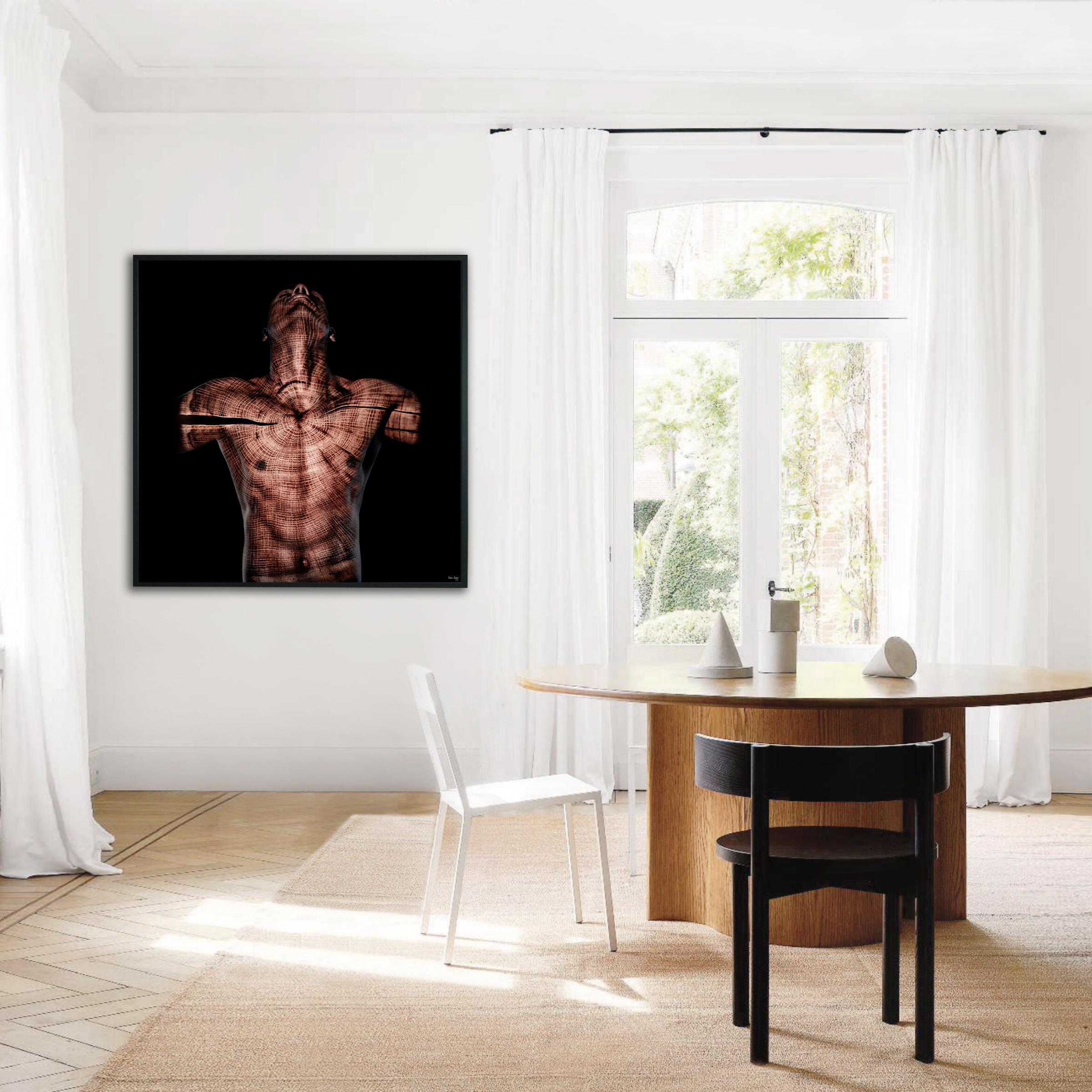 Abstrakte Fotografie „Acacia ARM4“ 48