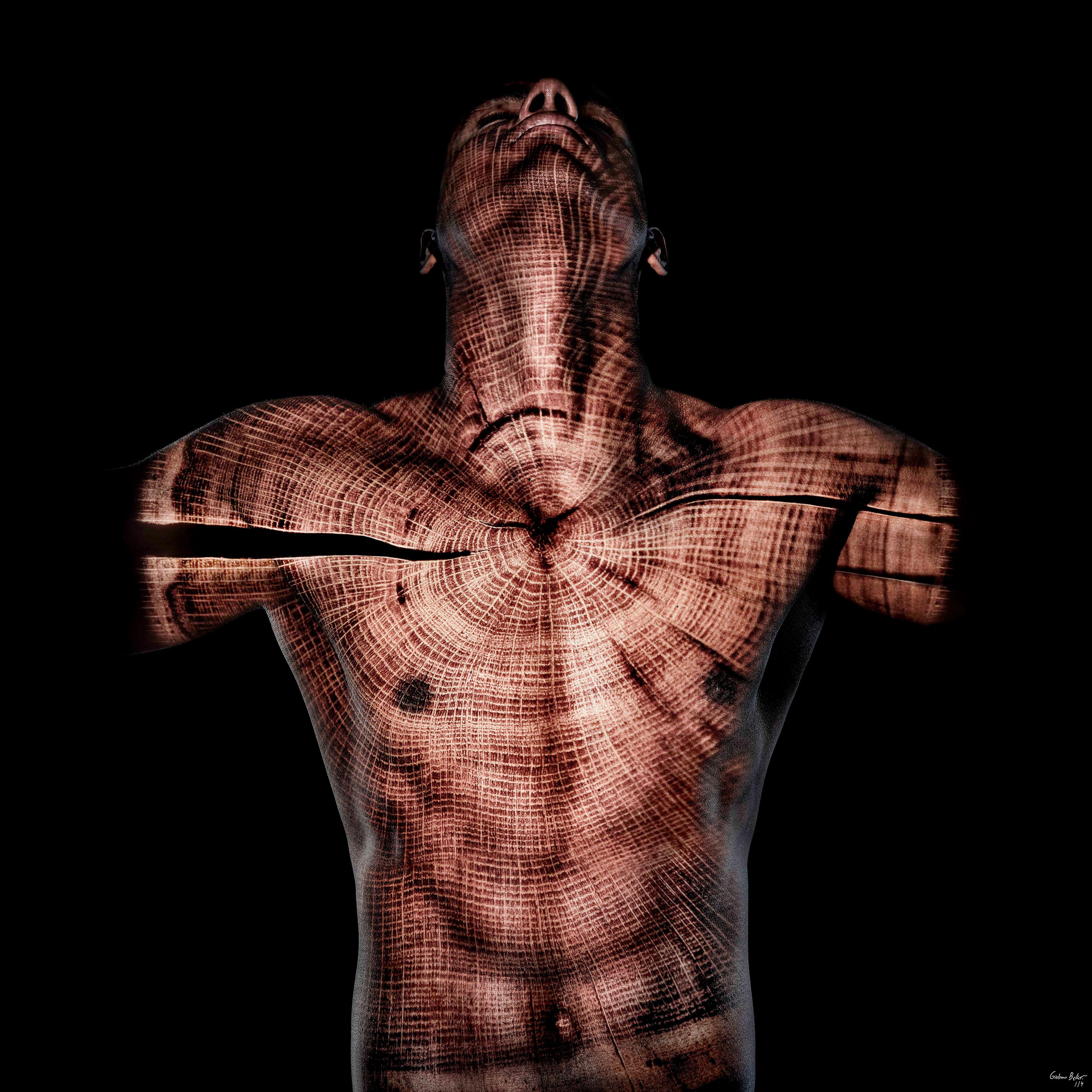 "Acacia ARM4" Abstract Photography 48"x48" in Edition 1/4 by Giuliano Bekor